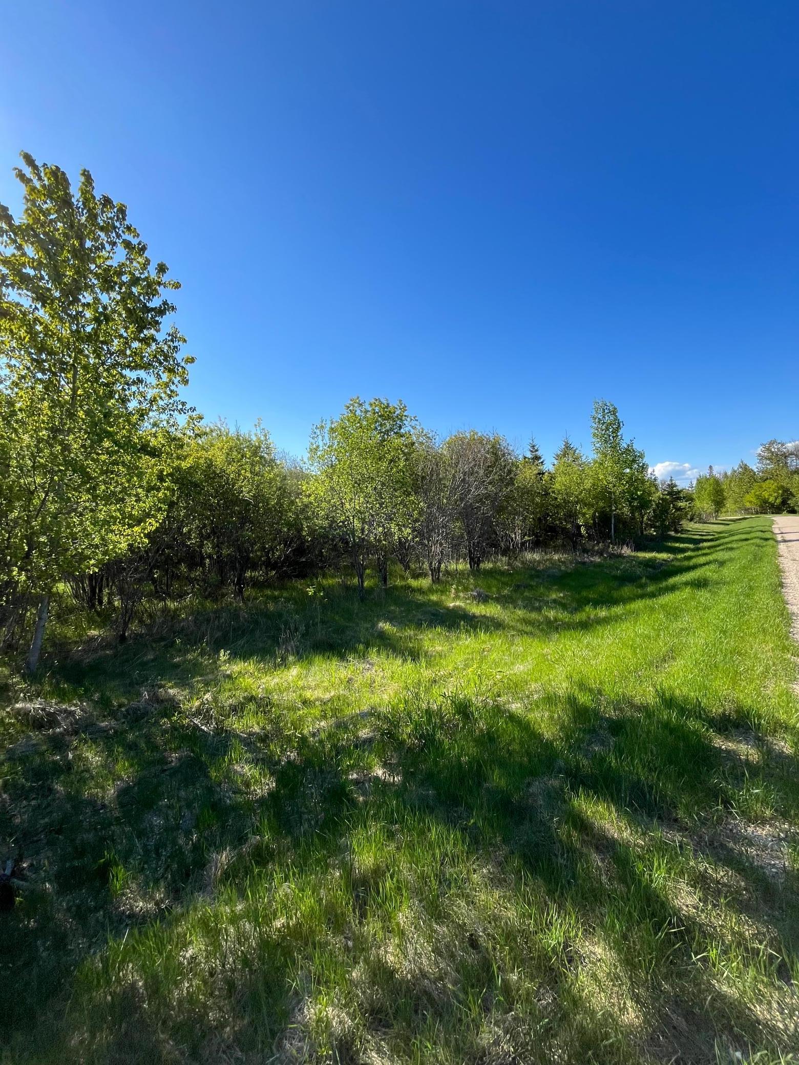 land for sale at Lot 4 - TBD 330th Street in Warroad, MN