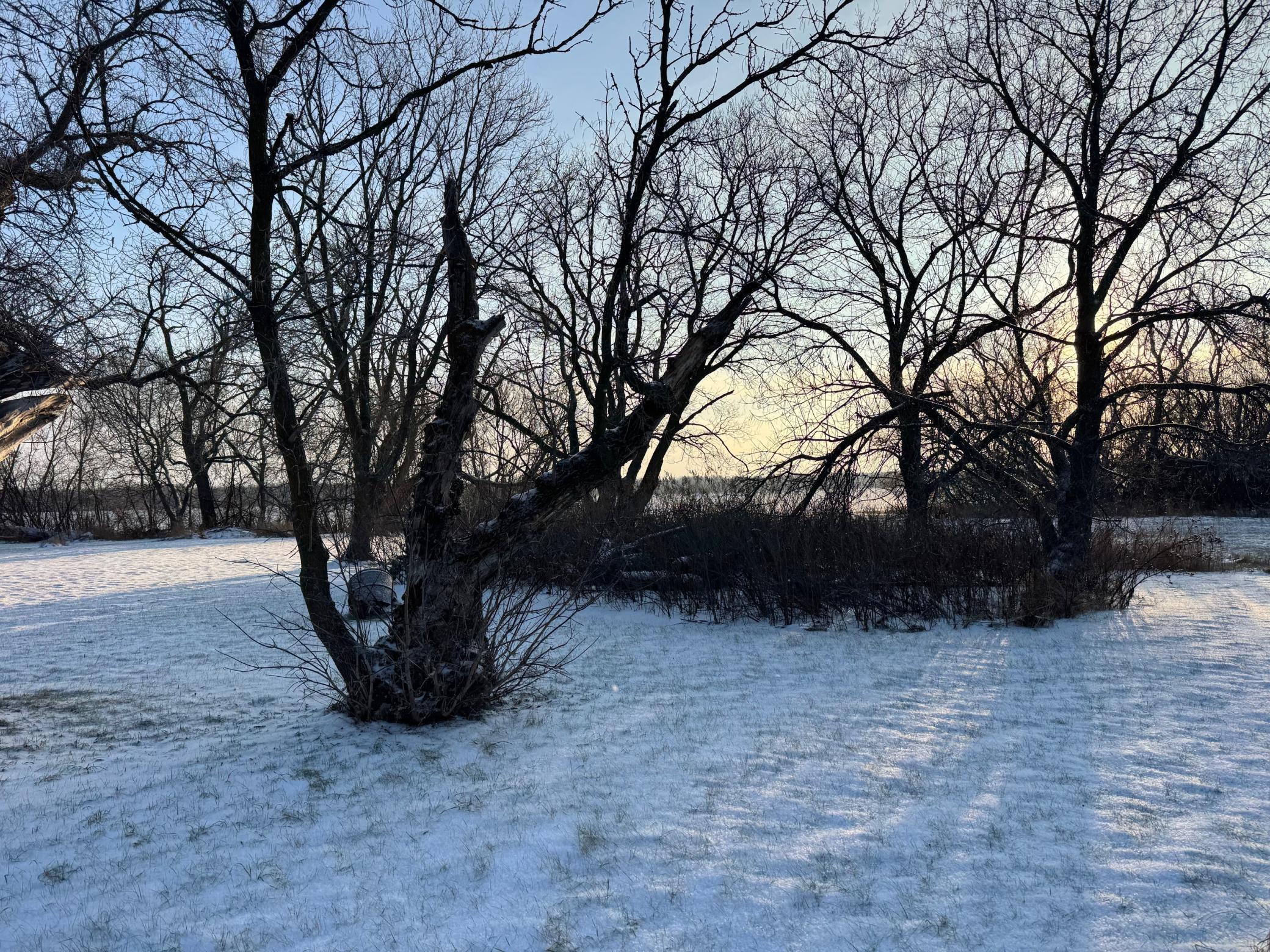 1910 single family home for sale at 44028 220th Street in Roseau, MN — 3 bed, 1 bath (photo 14 of 14)