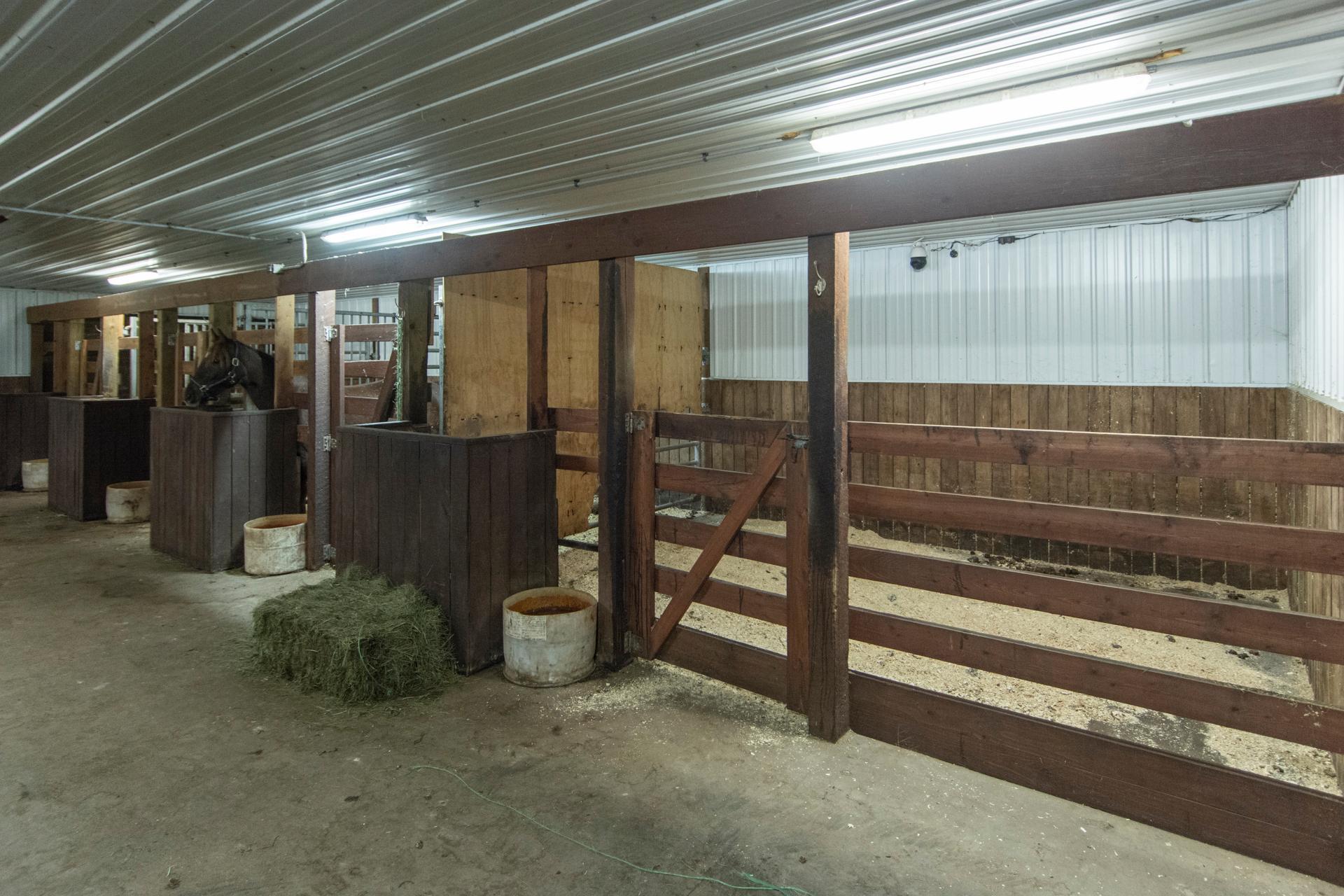 33896 County 21, Browerville MN 56438 - Photo 50 of 69