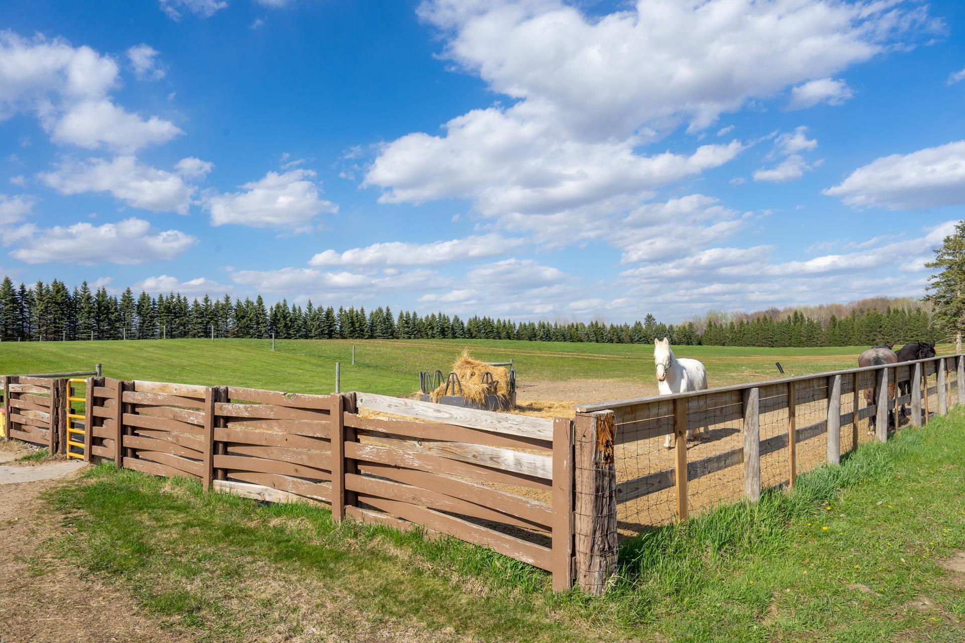 33896 County 21, Browerville MN 56438 - Photo 63 of 69