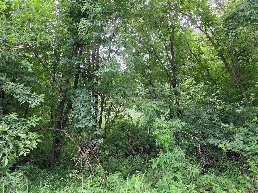 land for sale at TBD Michigan Avenue in Crosby, MN (photo 3 of 5)