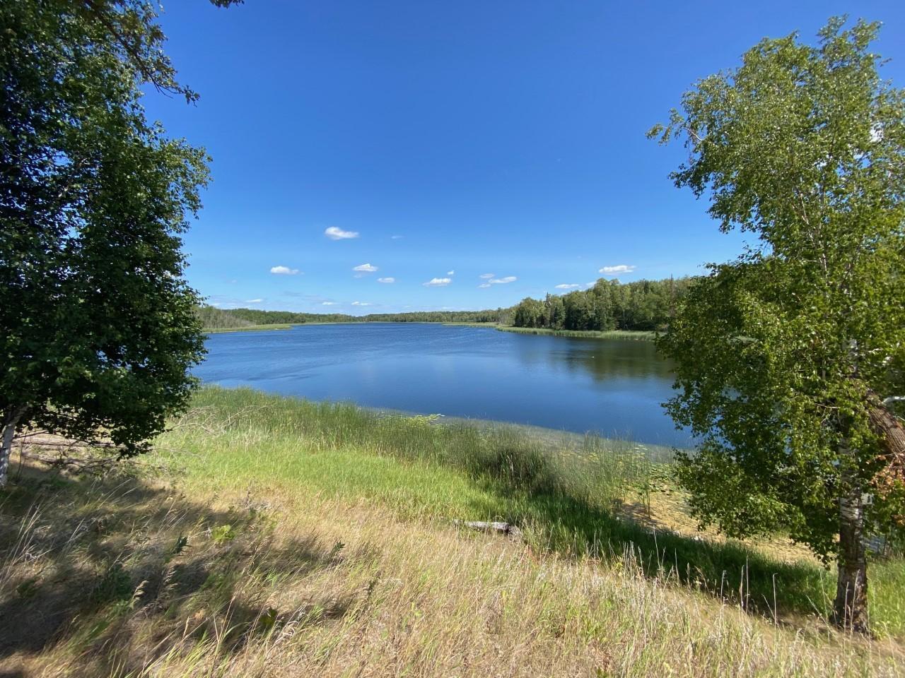 land for sale at 49954 209th Avenue in Clearbrook, MN