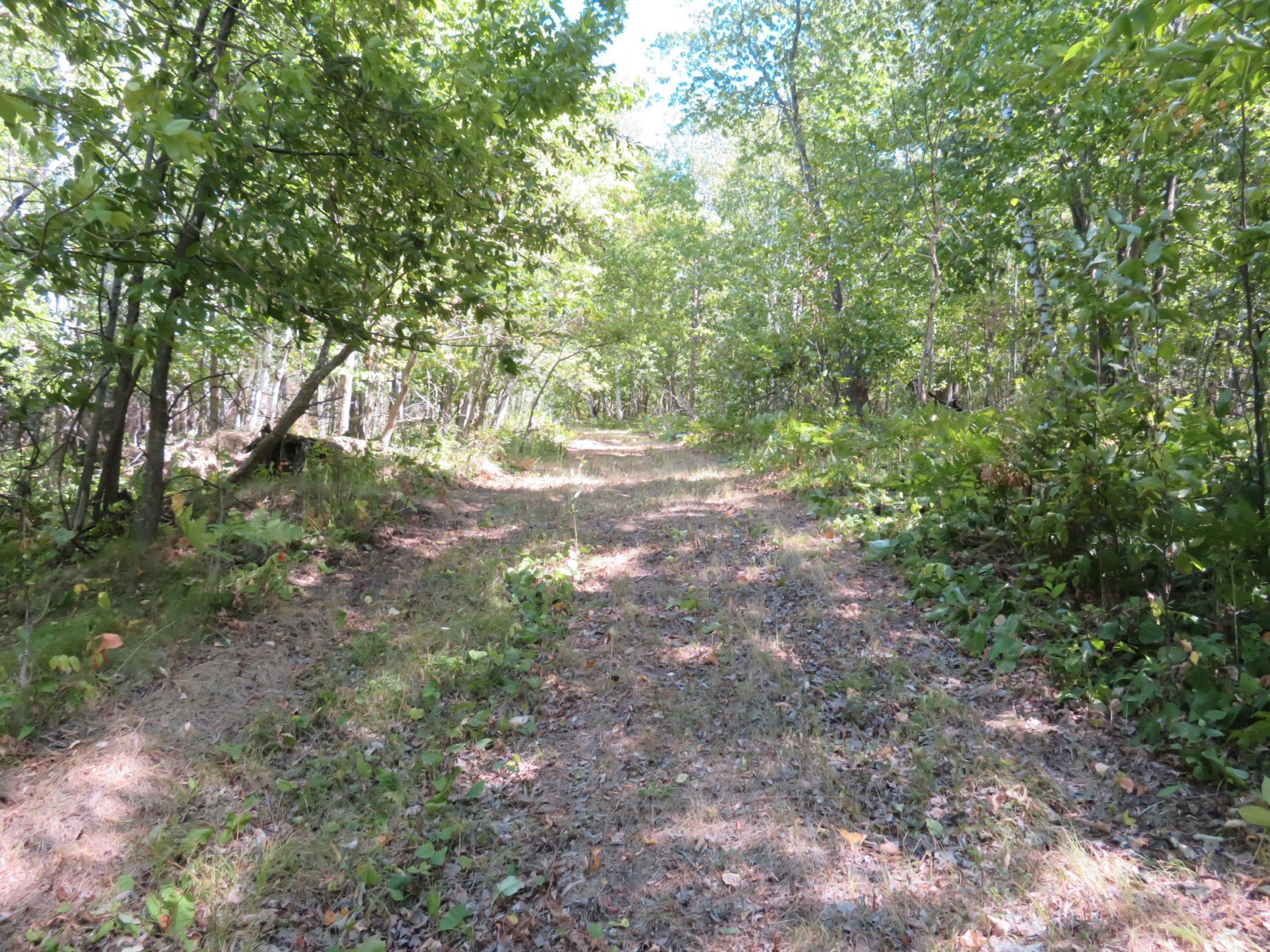 land for sale at 49954 209th Avenue in Clearbrook, MN