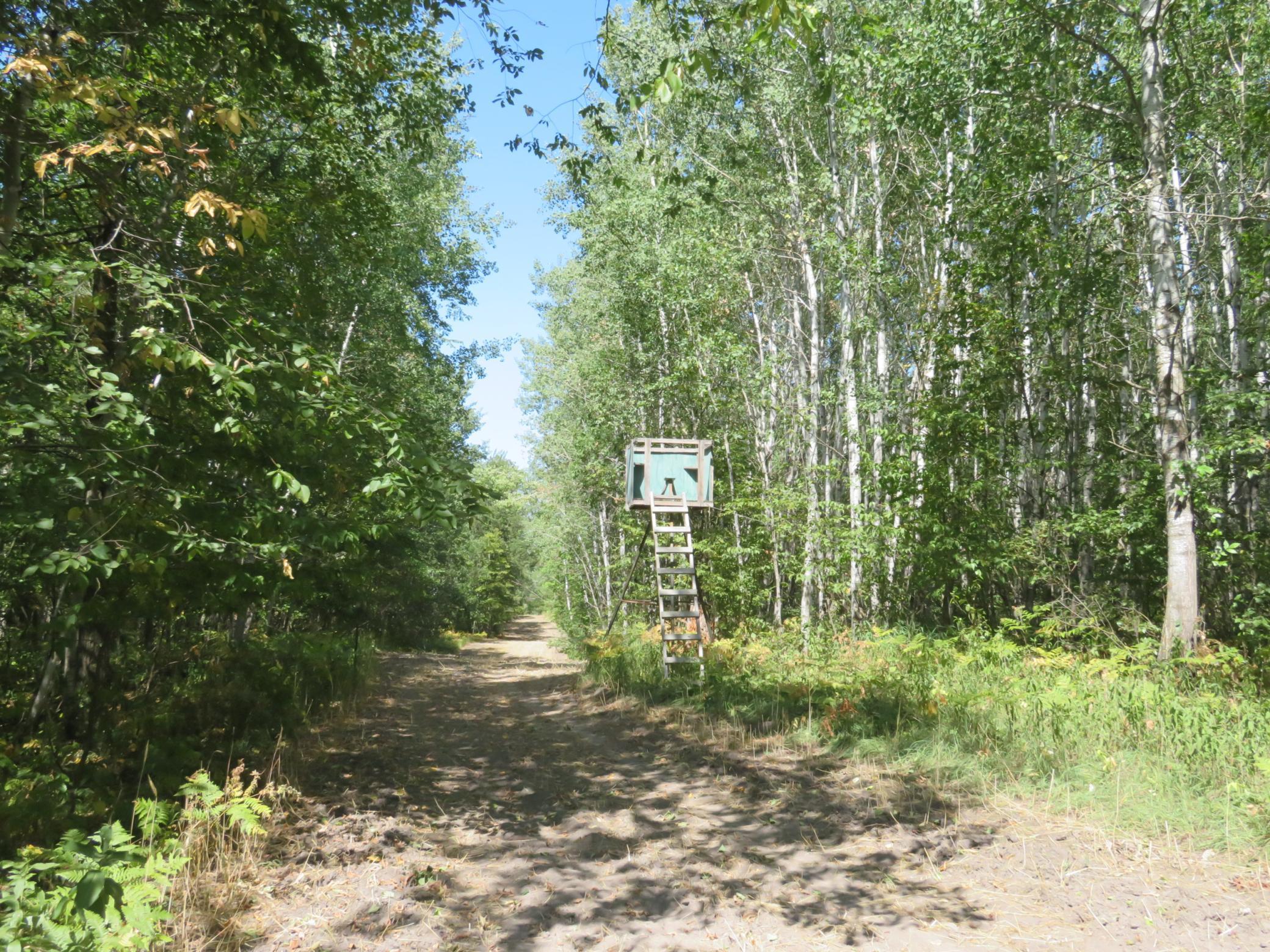 land for sale at 49954 209th Avenue in Clearbrook, MN (photo 2 of 8)