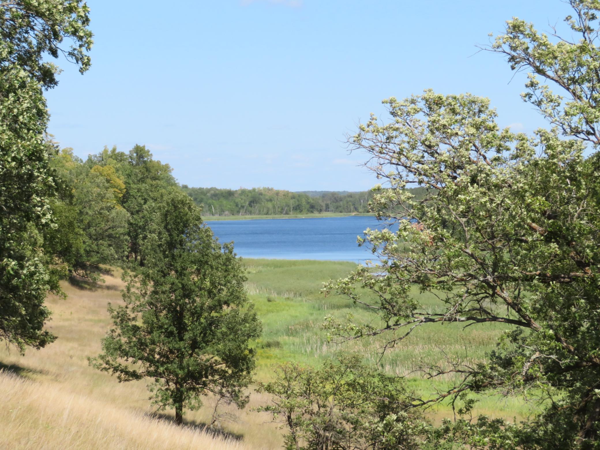 land for sale at 49954 209th Avenue in Clearbrook, MN (photo 3 of 8)