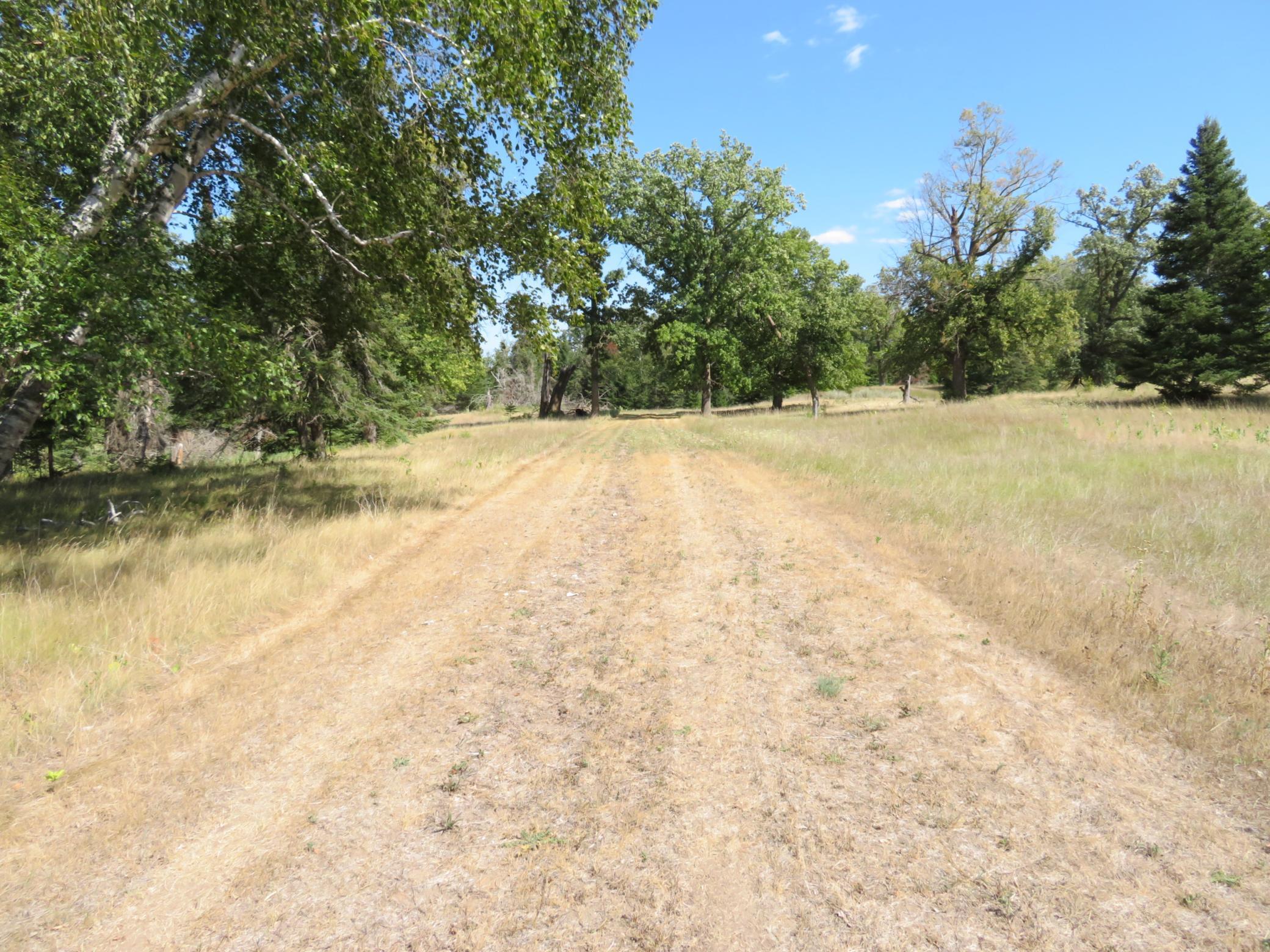 land for sale at 49954 209th Avenue in Clearbrook, MN (photo 4 of 8)