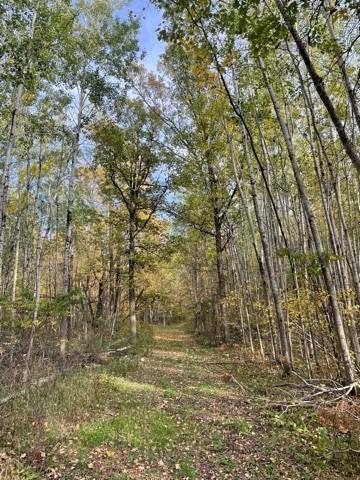 land for sale at 49954 209th Avenue in Clearbrook, MN (photo 6 of 8)