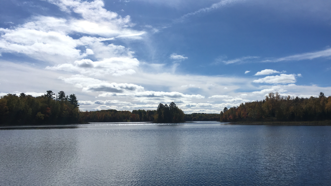 land for sale at 26810 N Hart Lake Road in Pengilly, MN (photo 11 of 69)