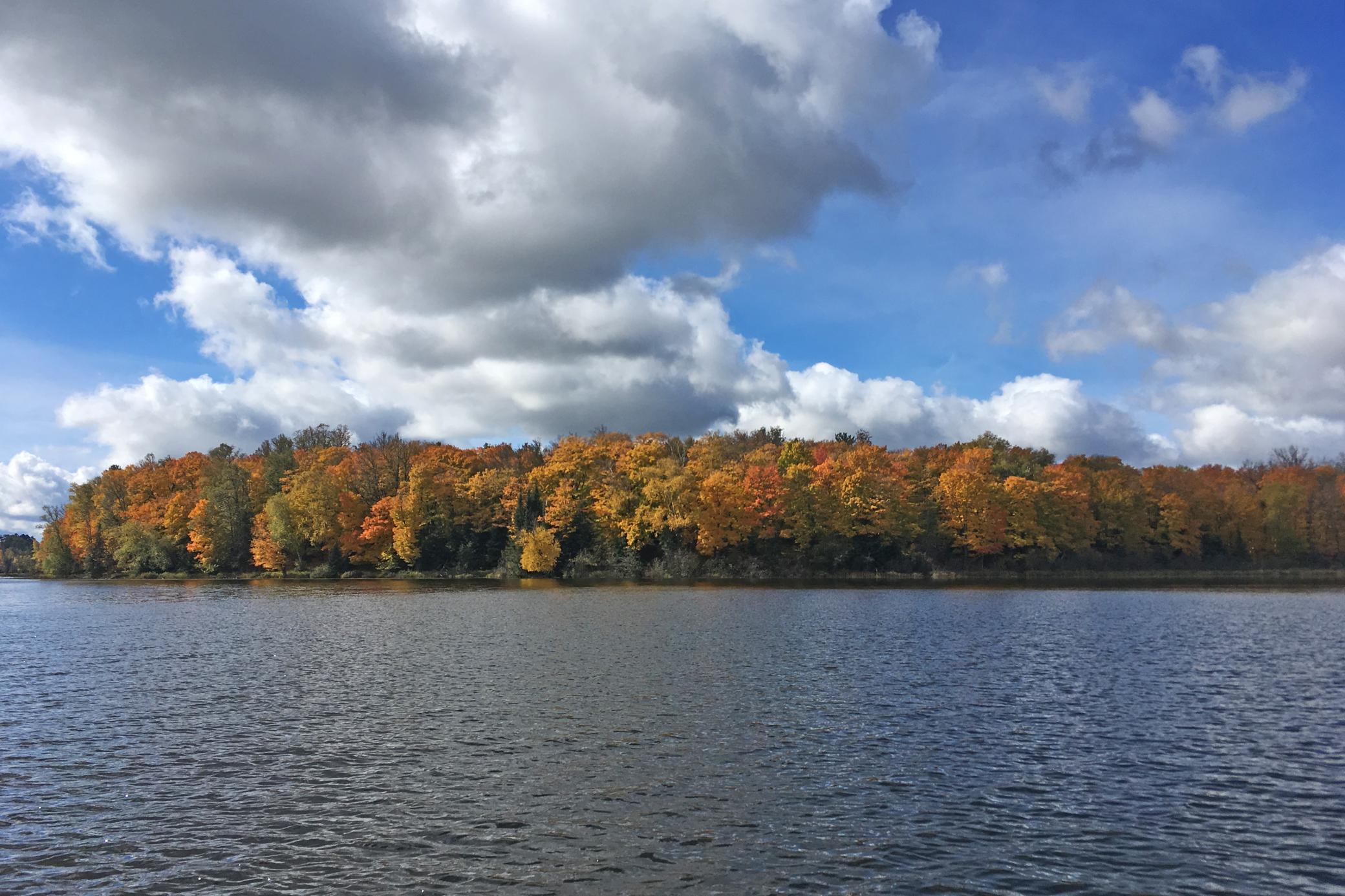 land for sale at 26810 N Hart Lake Road in Pengilly, MN (photo 12 of 69)