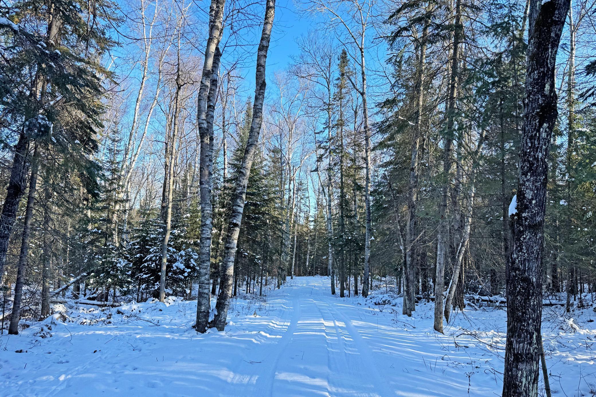 land for sale at 26810 N Hart Lake Road in Pengilly, MN (photo 25 of 69)