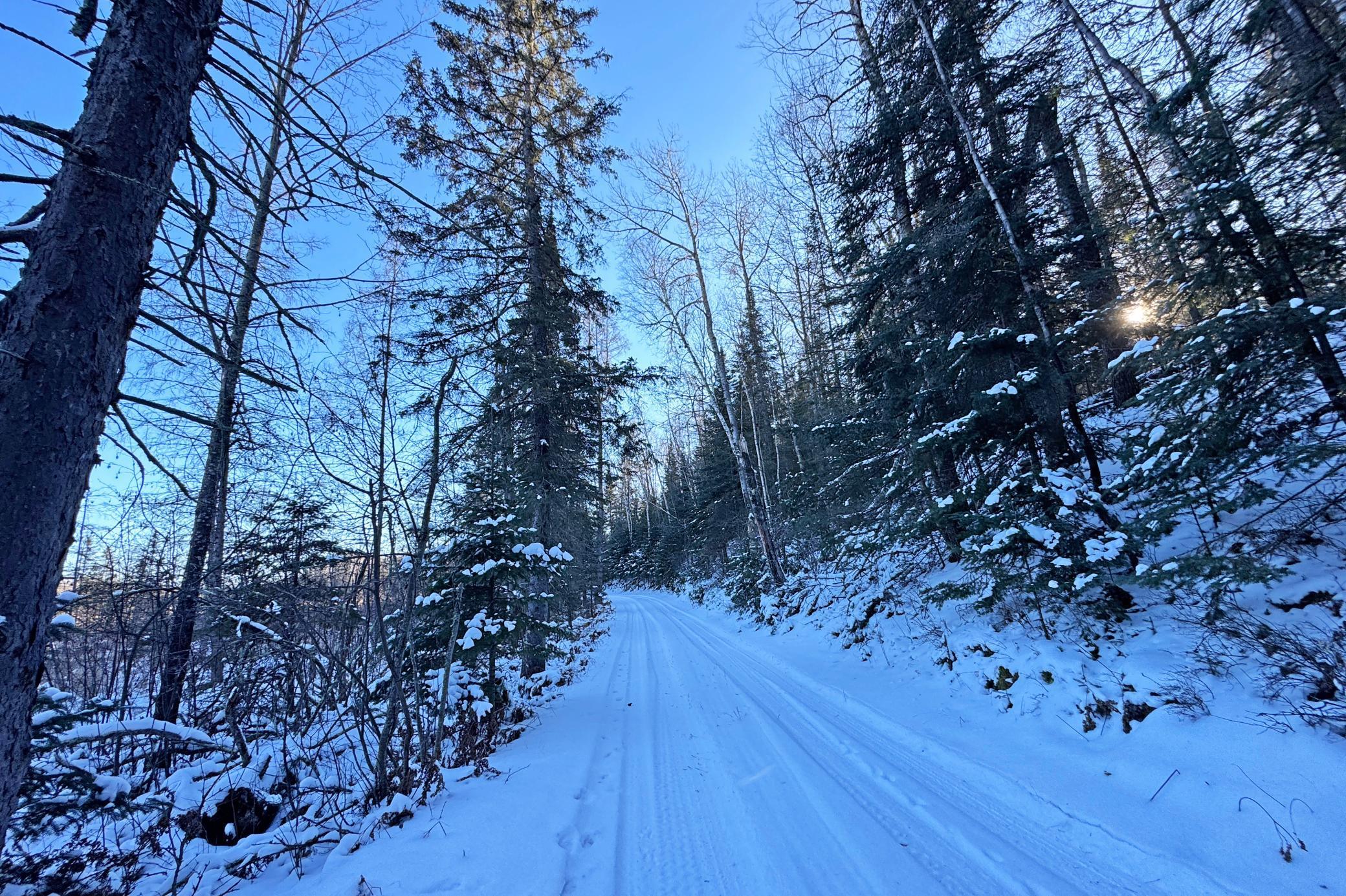 land for sale at 26810 N Hart Lake Road in Pengilly, MN (photo 26 of 69)