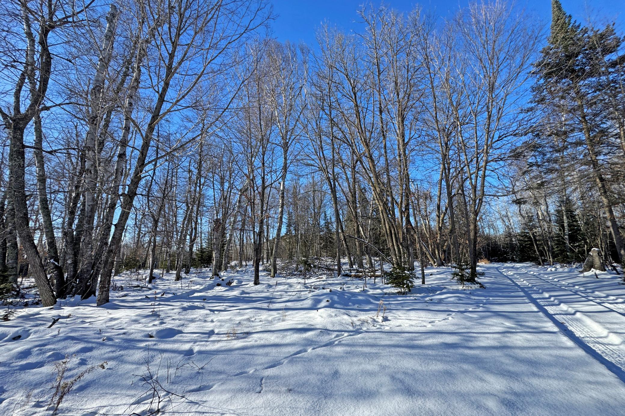 land for sale at 26810 N Hart Lake Road in Pengilly, MN (photo 27 of 69)