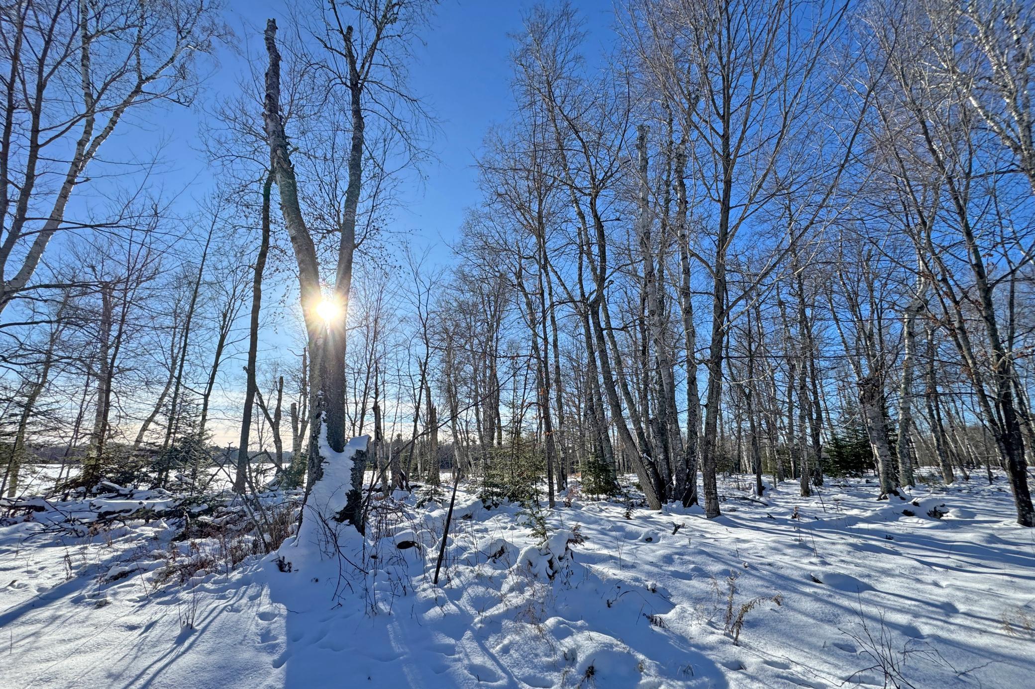 land for sale at 26810 N Hart Lake Road in Pengilly, MN (photo 28 of 69)