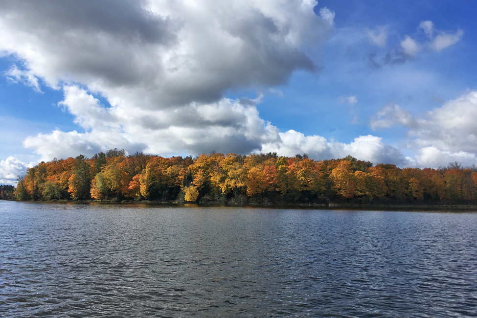land for sale at 26810 N Hart Lake Road in Pengilly, MN (photo 34 of 69)