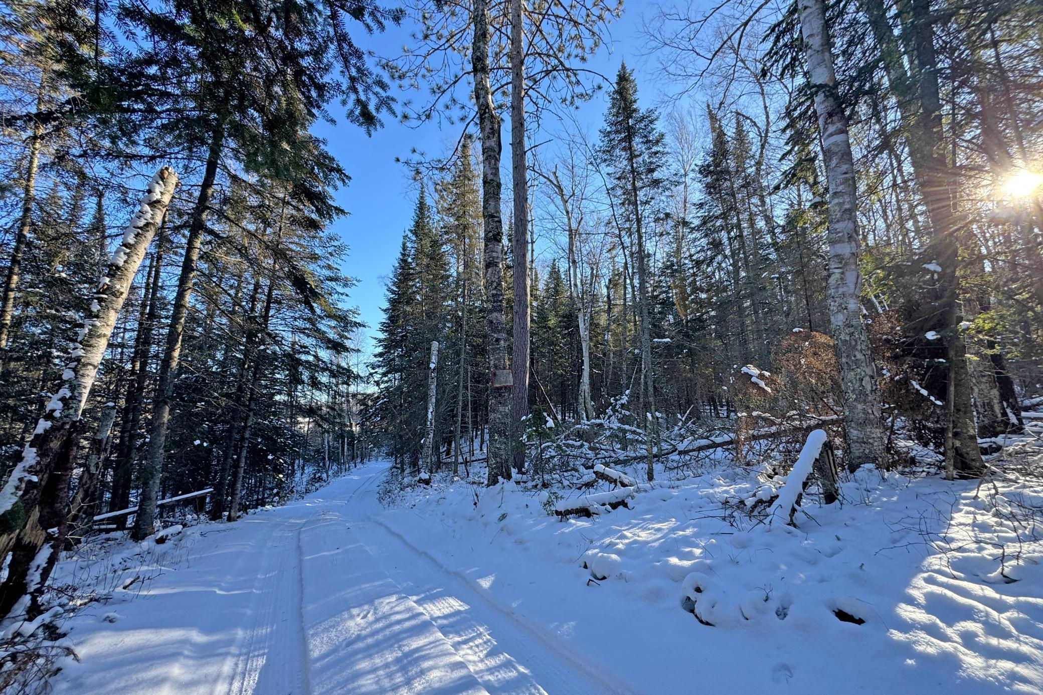 land for sale at 26810 N Hart Lake Road in Pengilly, MN (photo 40 of 69)
