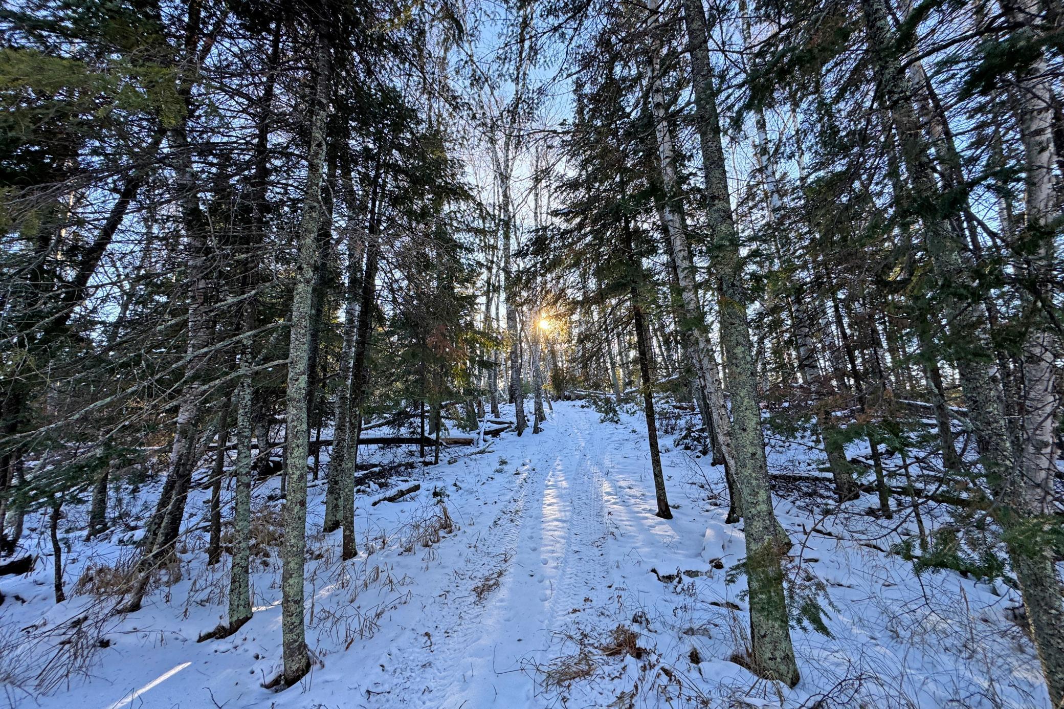 land for sale at 26810 N Hart Lake Road in Pengilly, MN (photo 41 of 69)