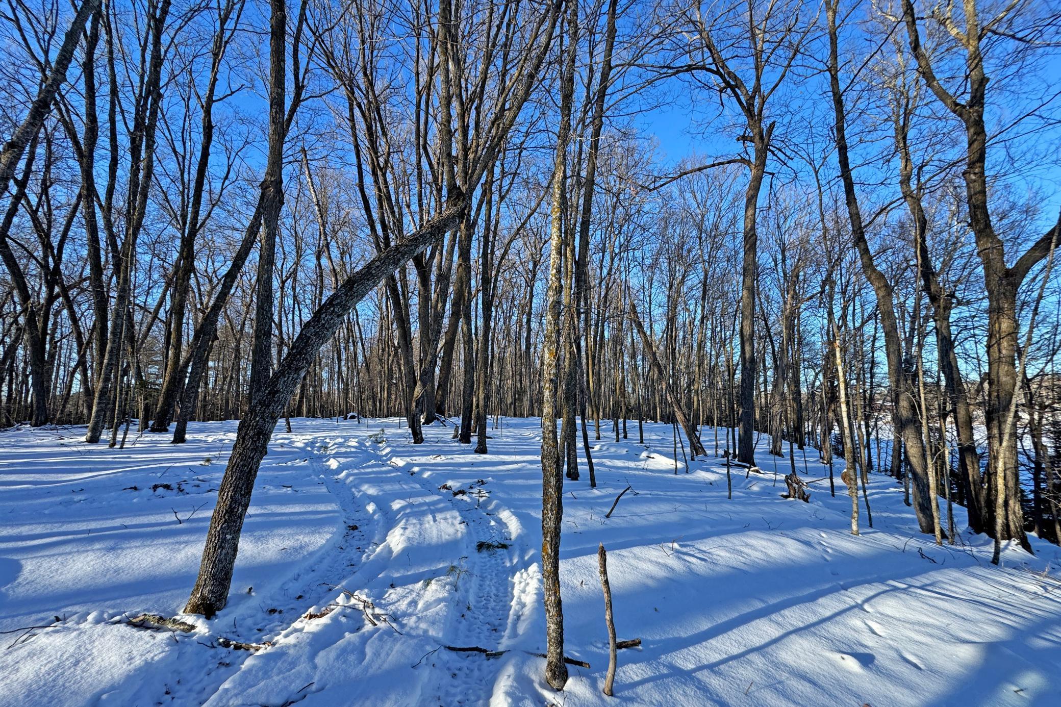 land for sale at 26810 N Hart Lake Road in Pengilly, MN (photo 42 of 69)