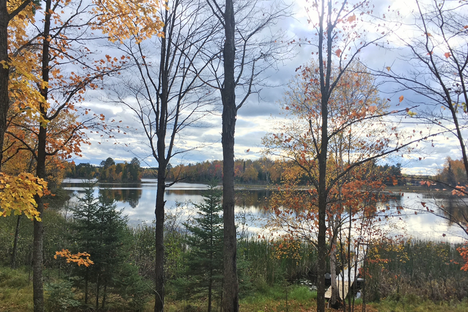 land for sale at 26810 N Hart Lake Road in Pengilly, MN (photo 43 of 69)