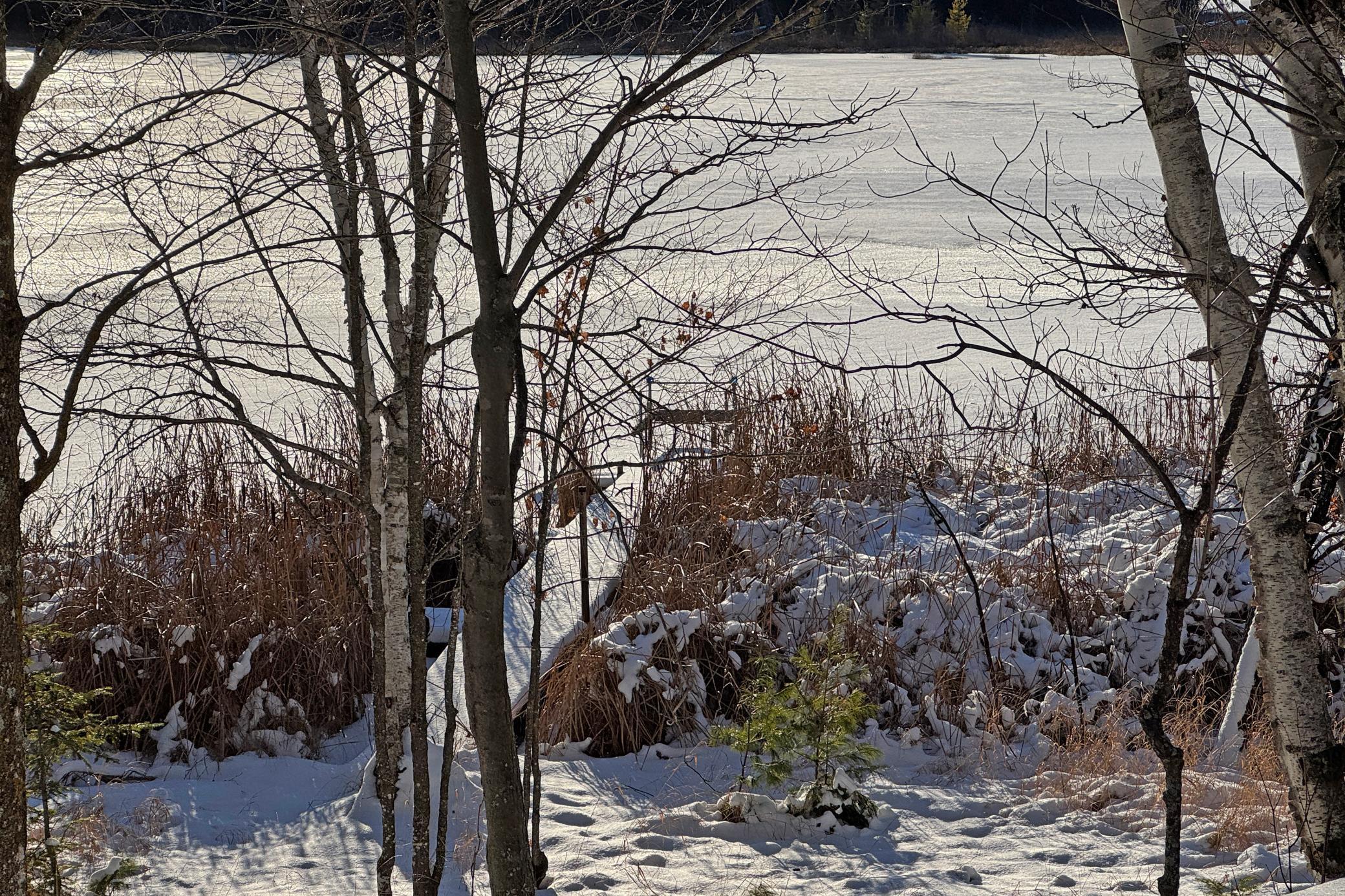 land for sale at 26810 N Hart Lake Road in Pengilly, MN (photo 51 of 69)