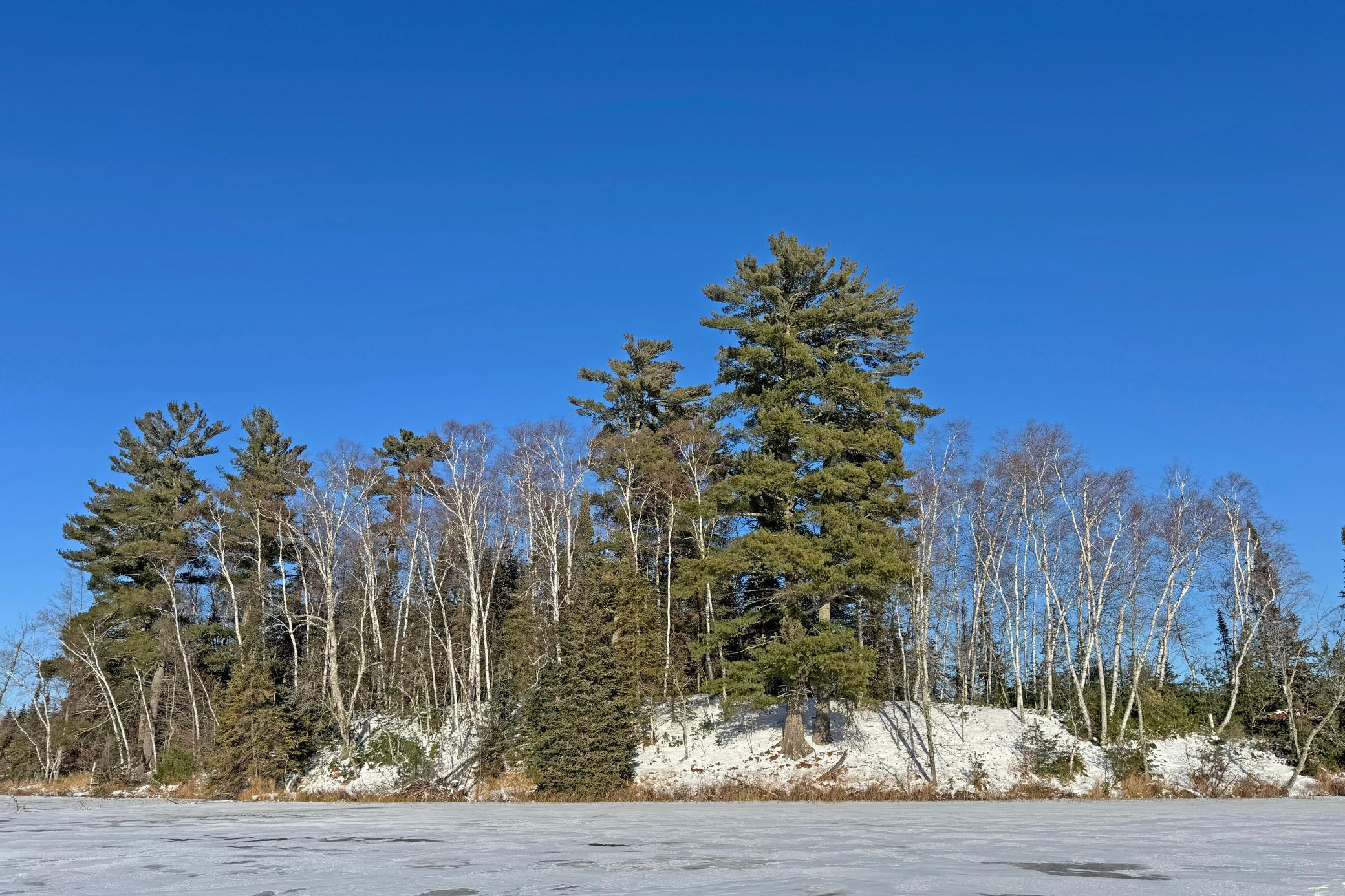 land for sale at 26810 N Hart Lake Road in Pengilly, MN (photo 55 of 69)
