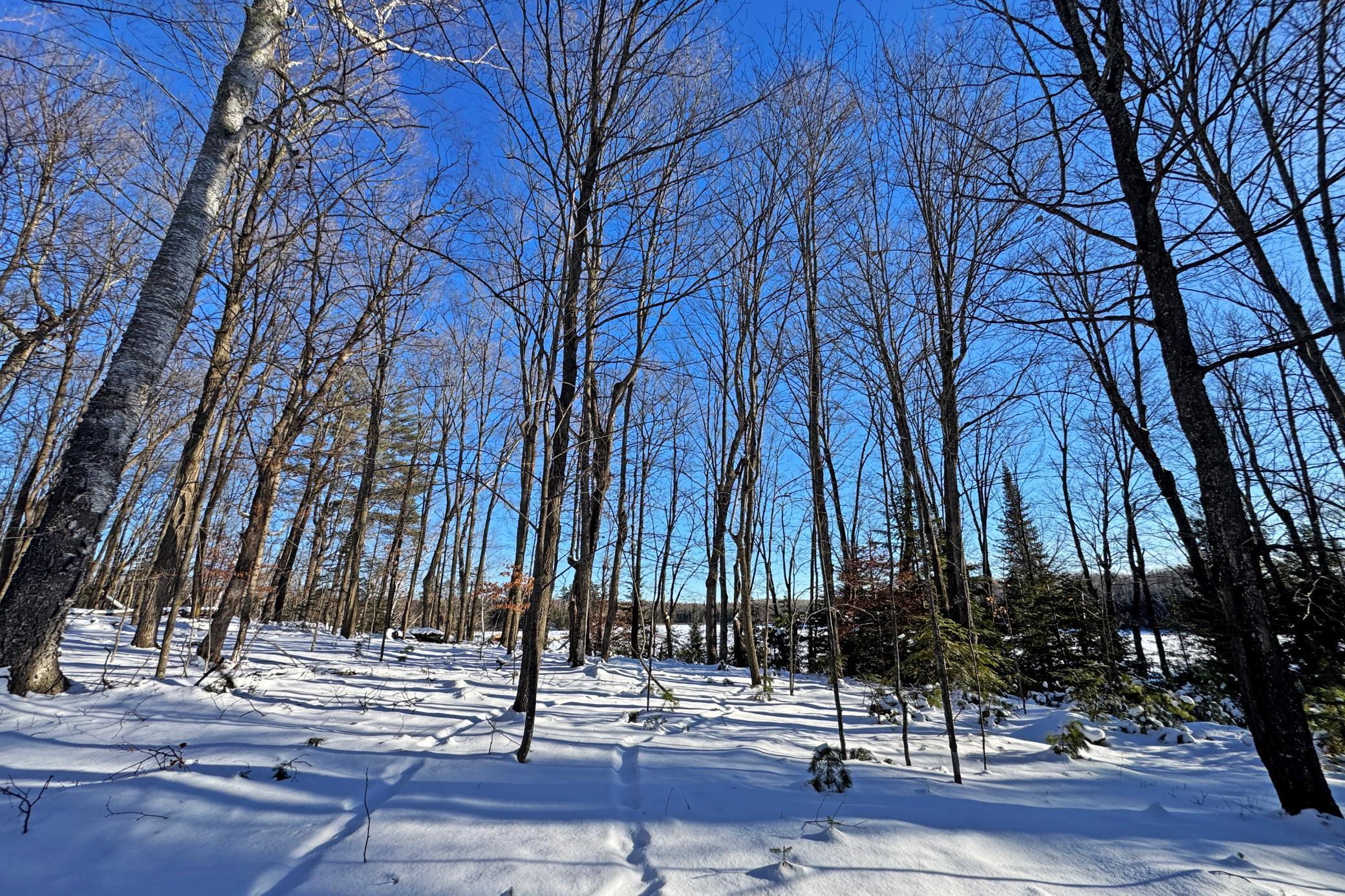 land for sale at 26810 N Hart Lake Road in Pengilly, MN (photo 59 of 69)