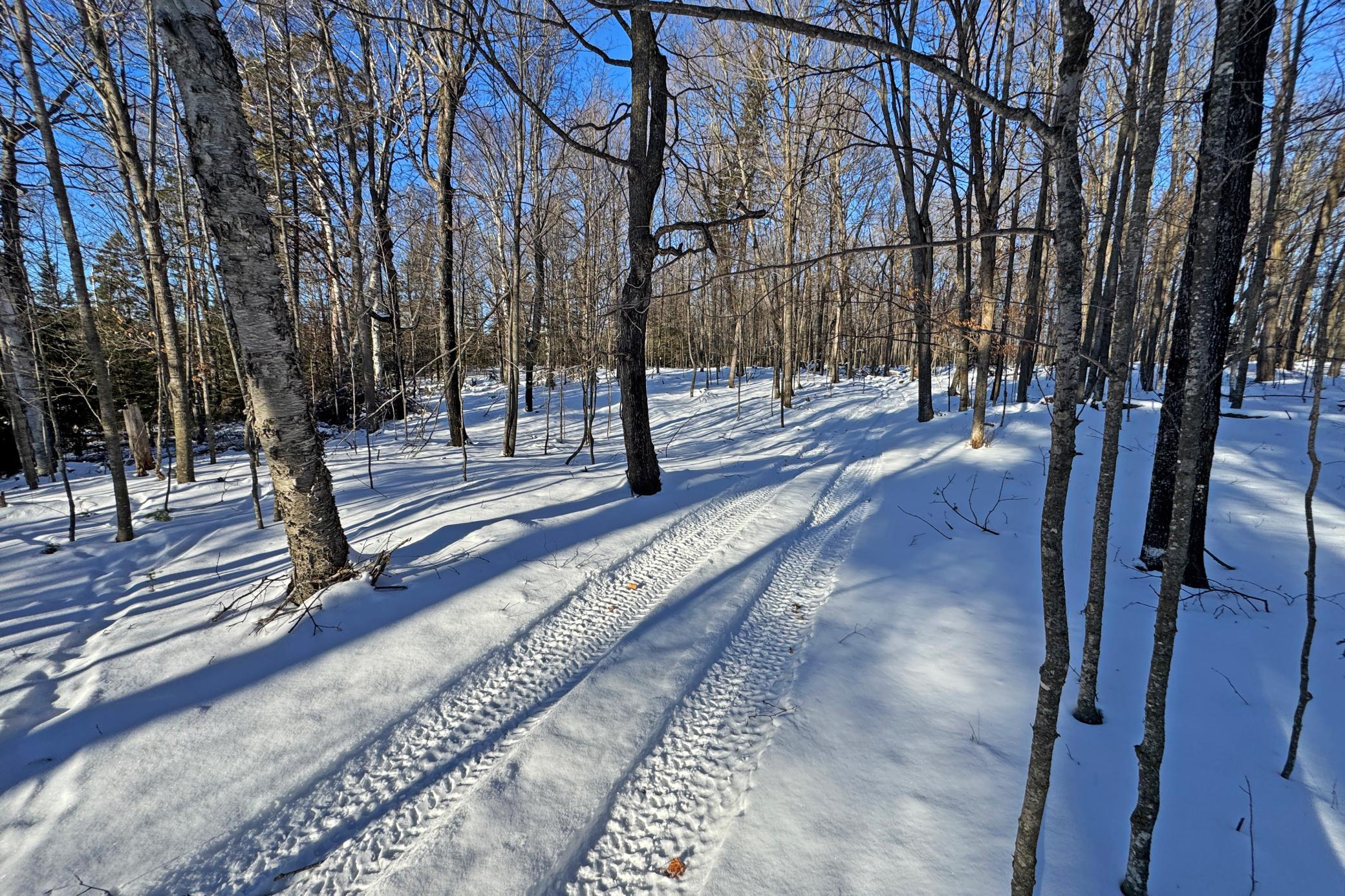 land for sale at 26810 N Hart Lake Road in Pengilly, MN (photo 60 of 69)
