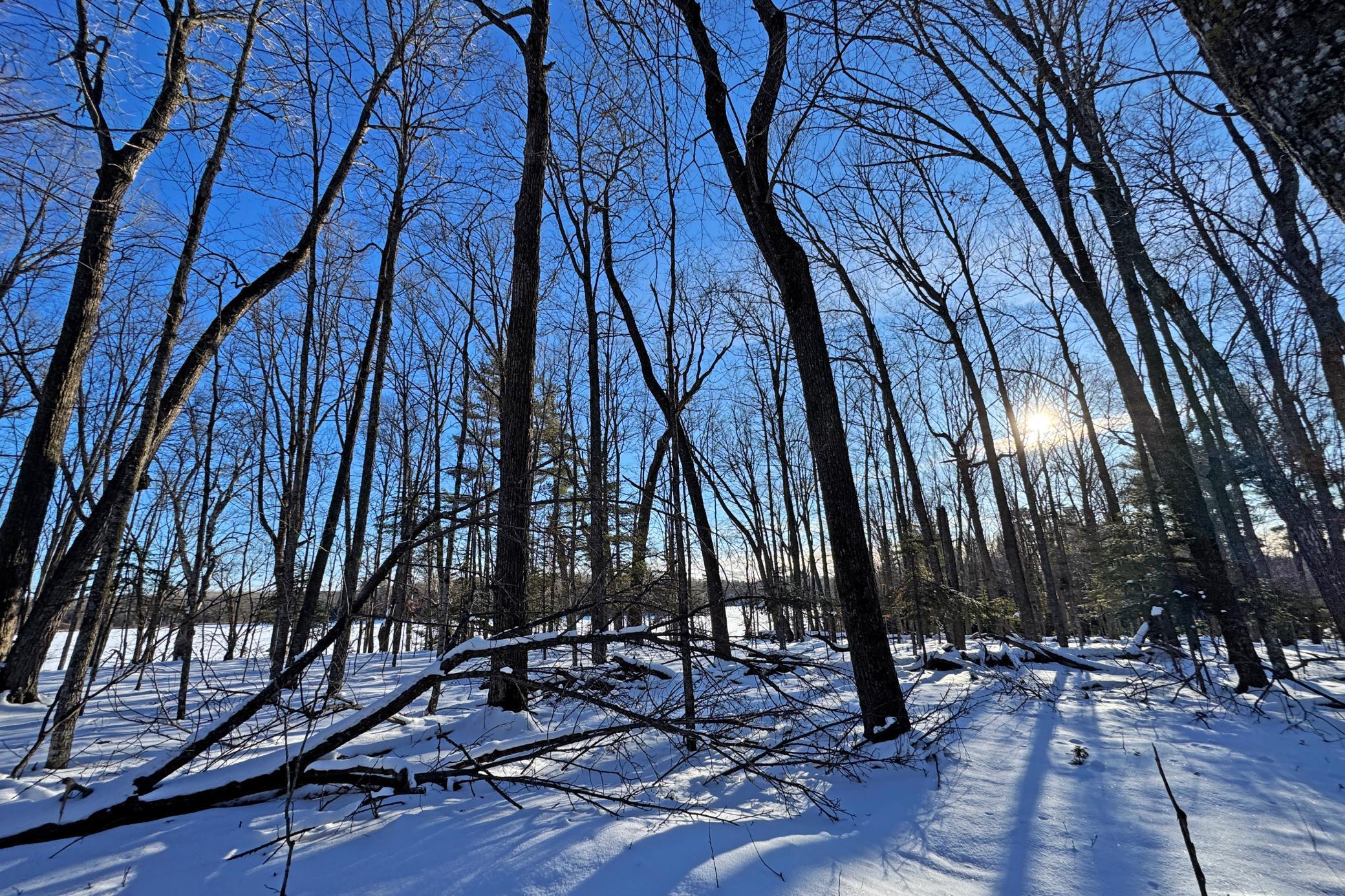 land for sale at 26810 N Hart Lake Road in Pengilly, MN (photo 61 of 69)