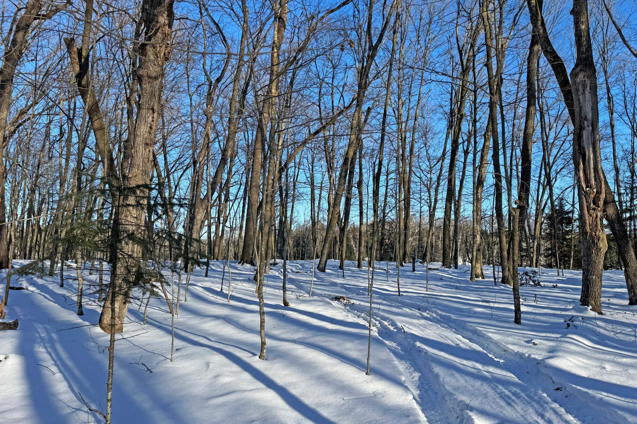 land for sale at 26810 N Hart Lake Road in Pengilly, MN (photo 62 of 69)