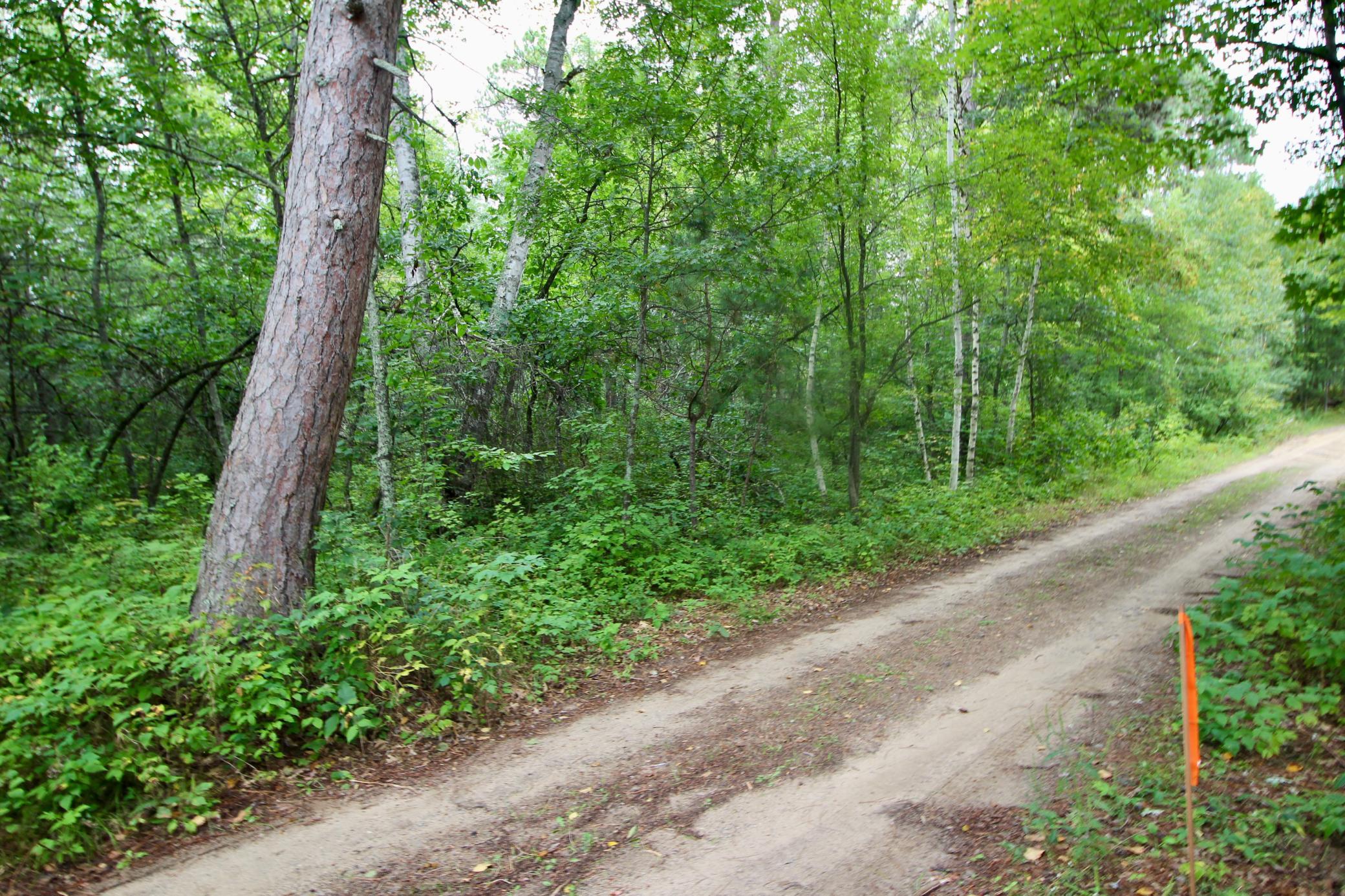 1926 land for sale at TBD Gravdahl Drive in Pequot Lakes, MN (photo 11 of 14)