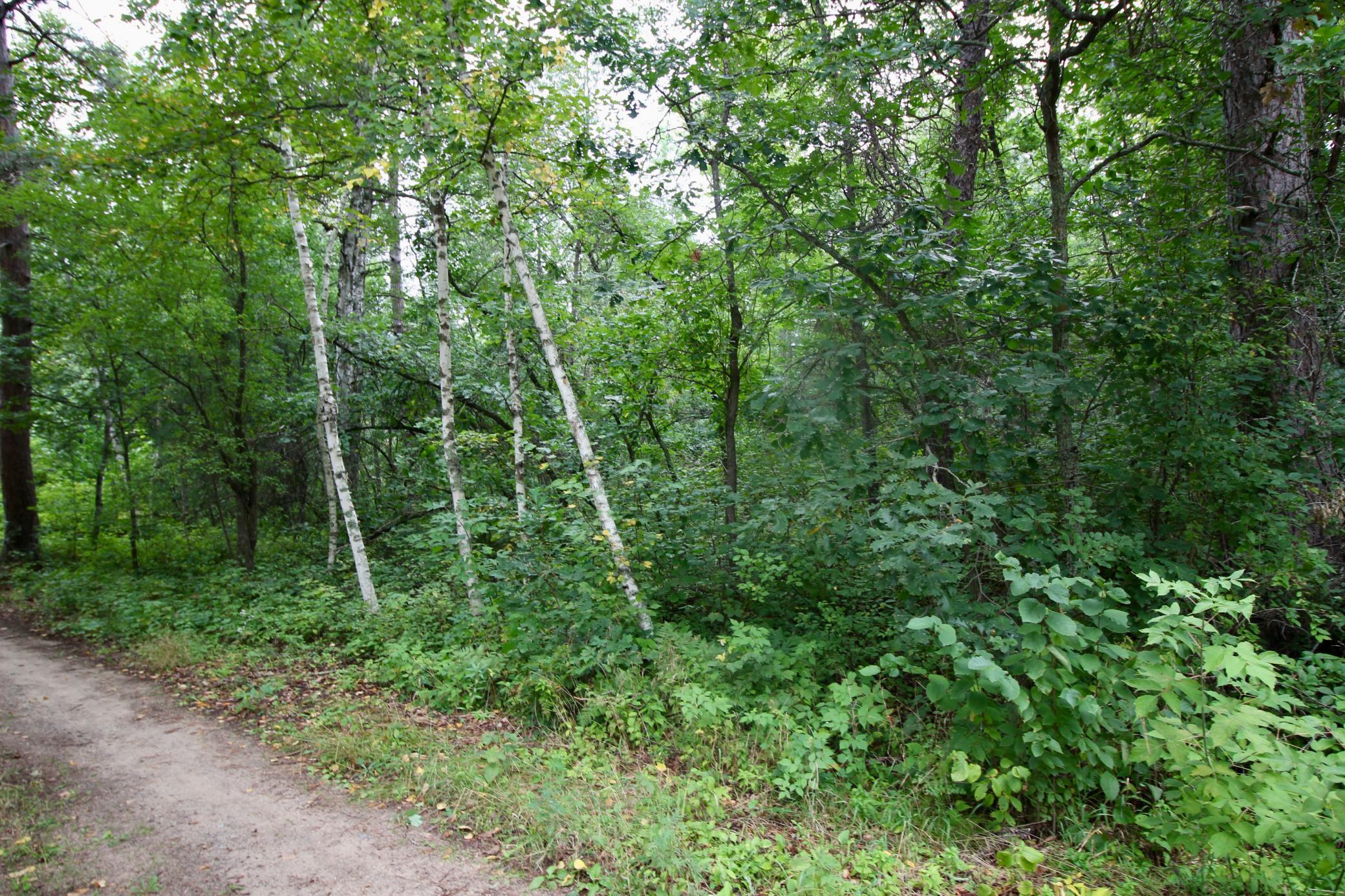 1926 land for sale at TBD Gravdahl Drive in Pequot Lakes, MN (photo 12 of 14)