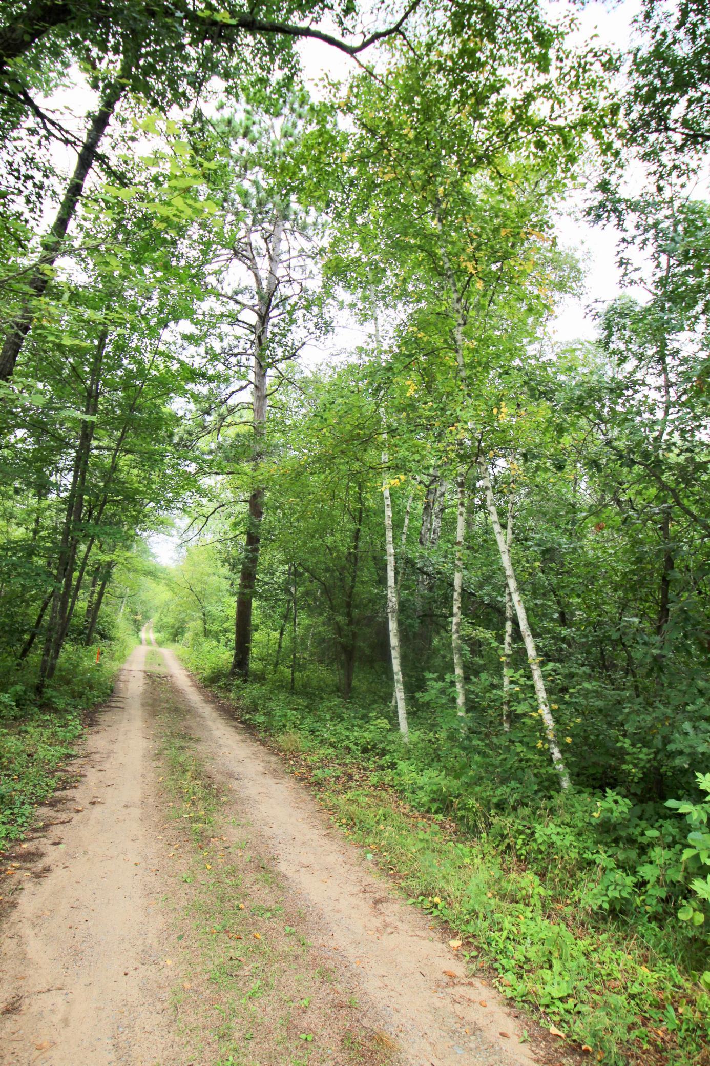 1926 land for sale at TBD Gravdahl Drive in Pequot Lakes, MN (photo 9 of 14)