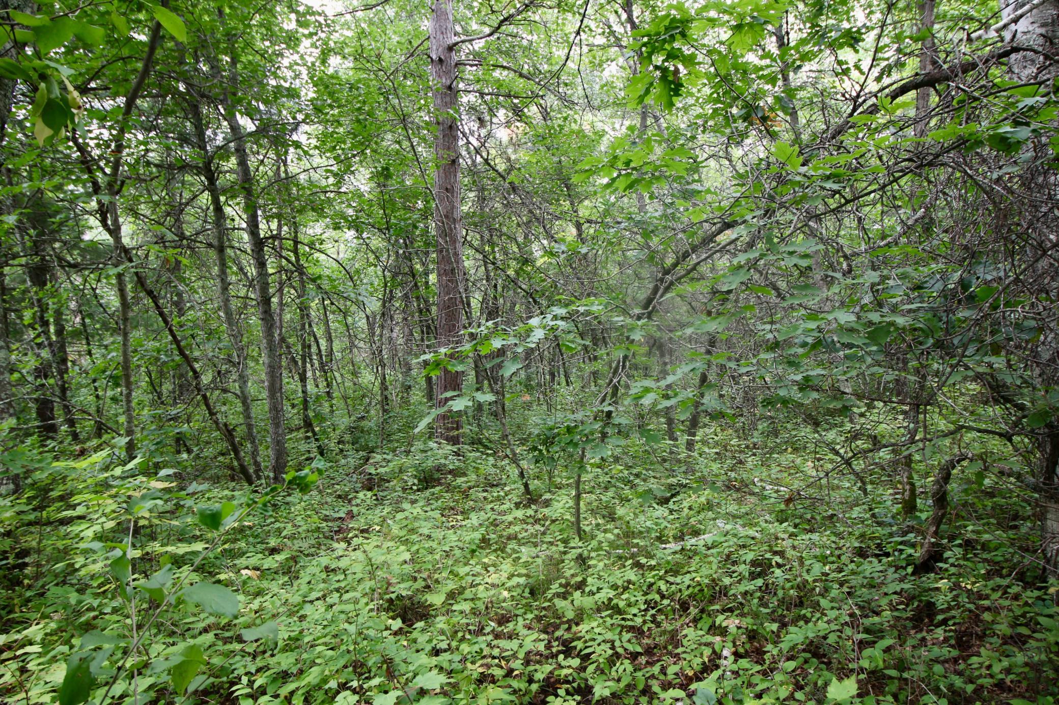 1926 land for sale at TBD Gravdahl Drive in Pequot Lakes, MN (photo 10 of 14)