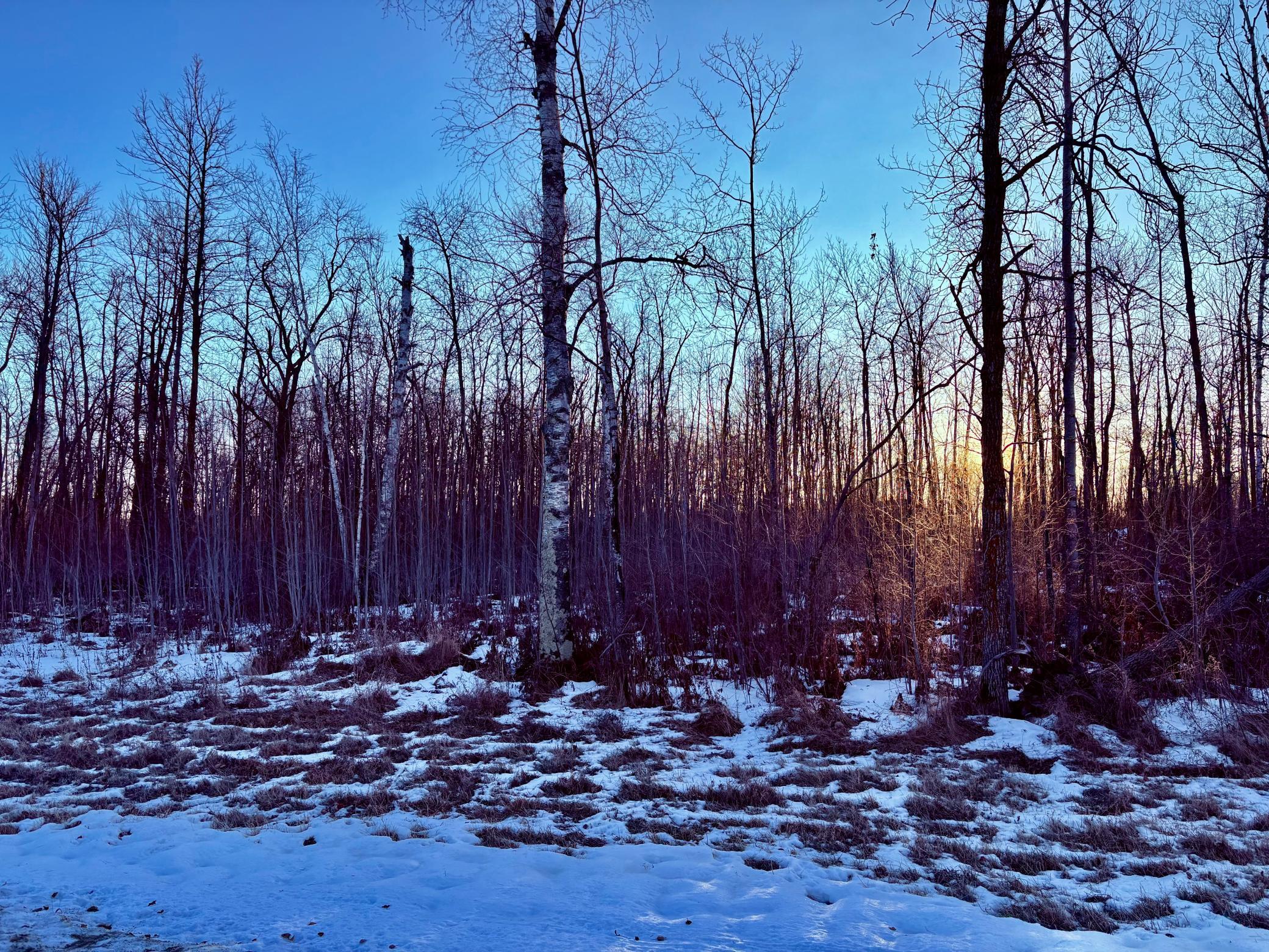 land for sale at LOT 15 Hooper Creek Loop NW in Baudette, MN (photo 7 of 7)