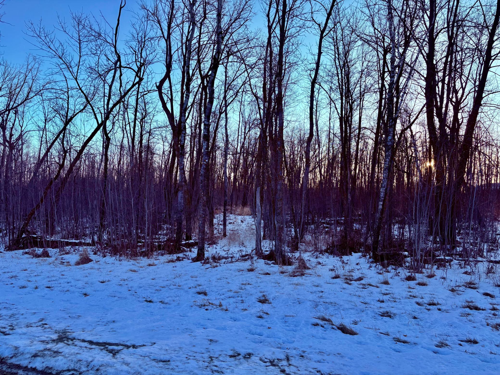 land for sale at LOT 14 Hooper Creek Loop NW in Baudette, MN (photo 7 of 7)