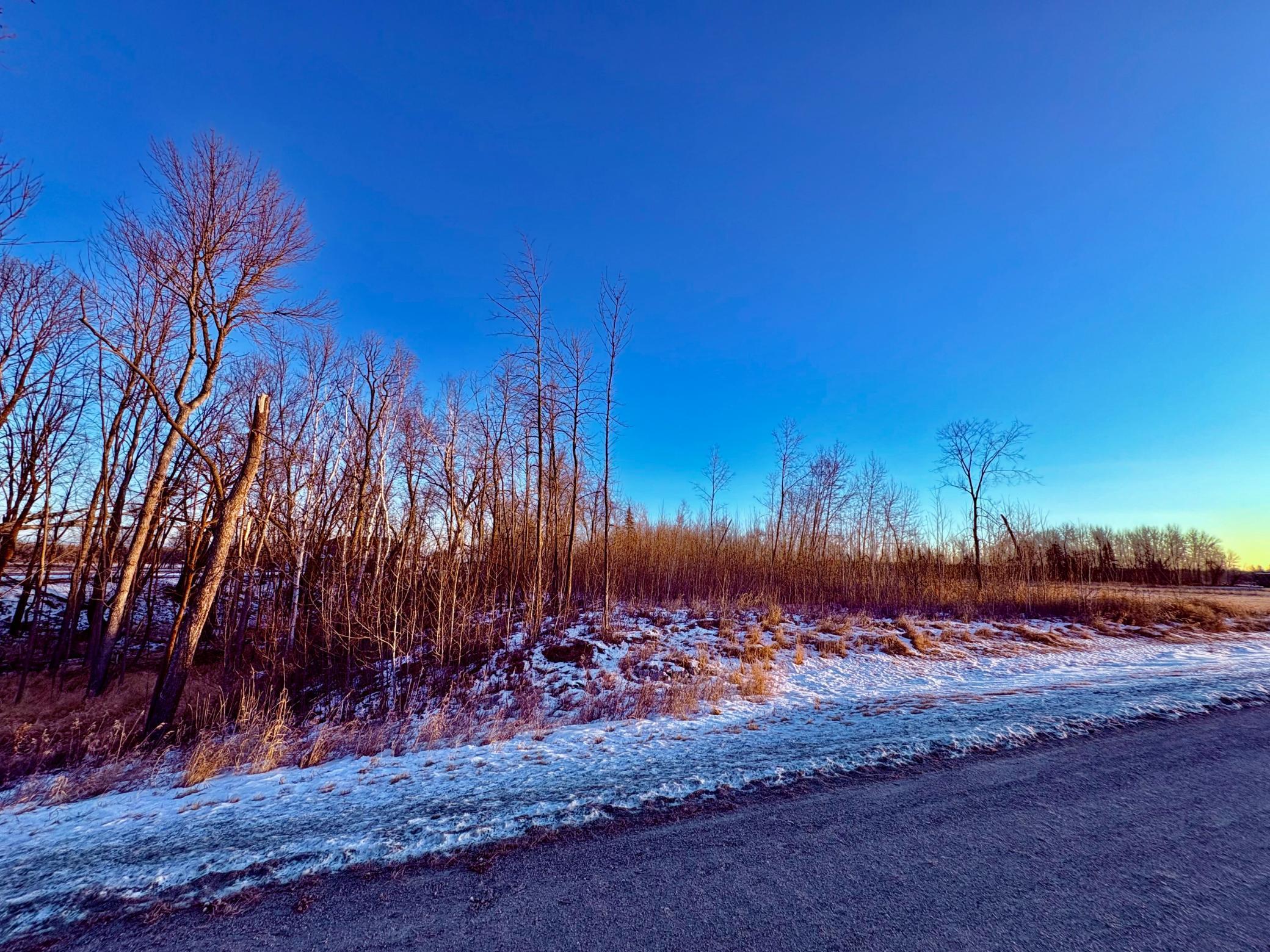 land for sale at Lot 6 Hooper Creek Loop NW in Baudette, MN (photo 6 of 6)