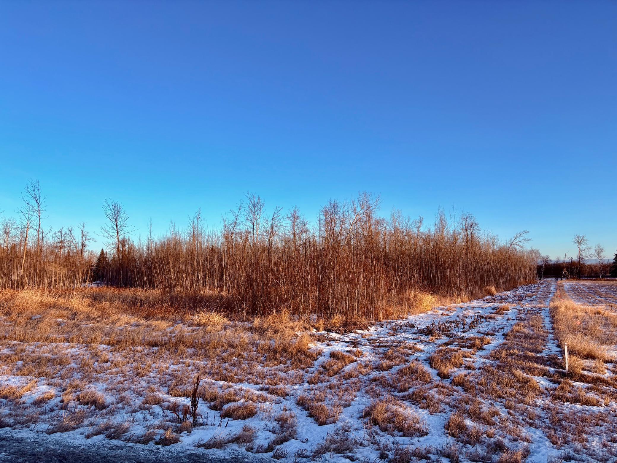 land for sale at LOT 1 Hooper Creek Loop NW in Baudette, MN (photo 6 of 6)