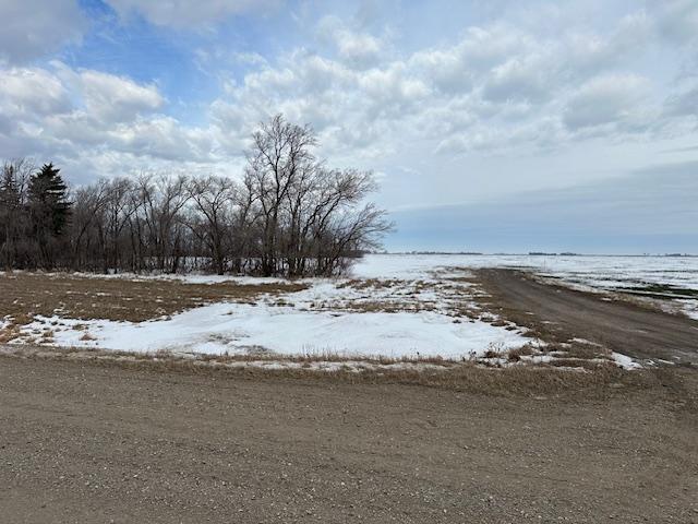 land for sale at 2434 240th Avenue in Ada, MN (photo 4 of 6)