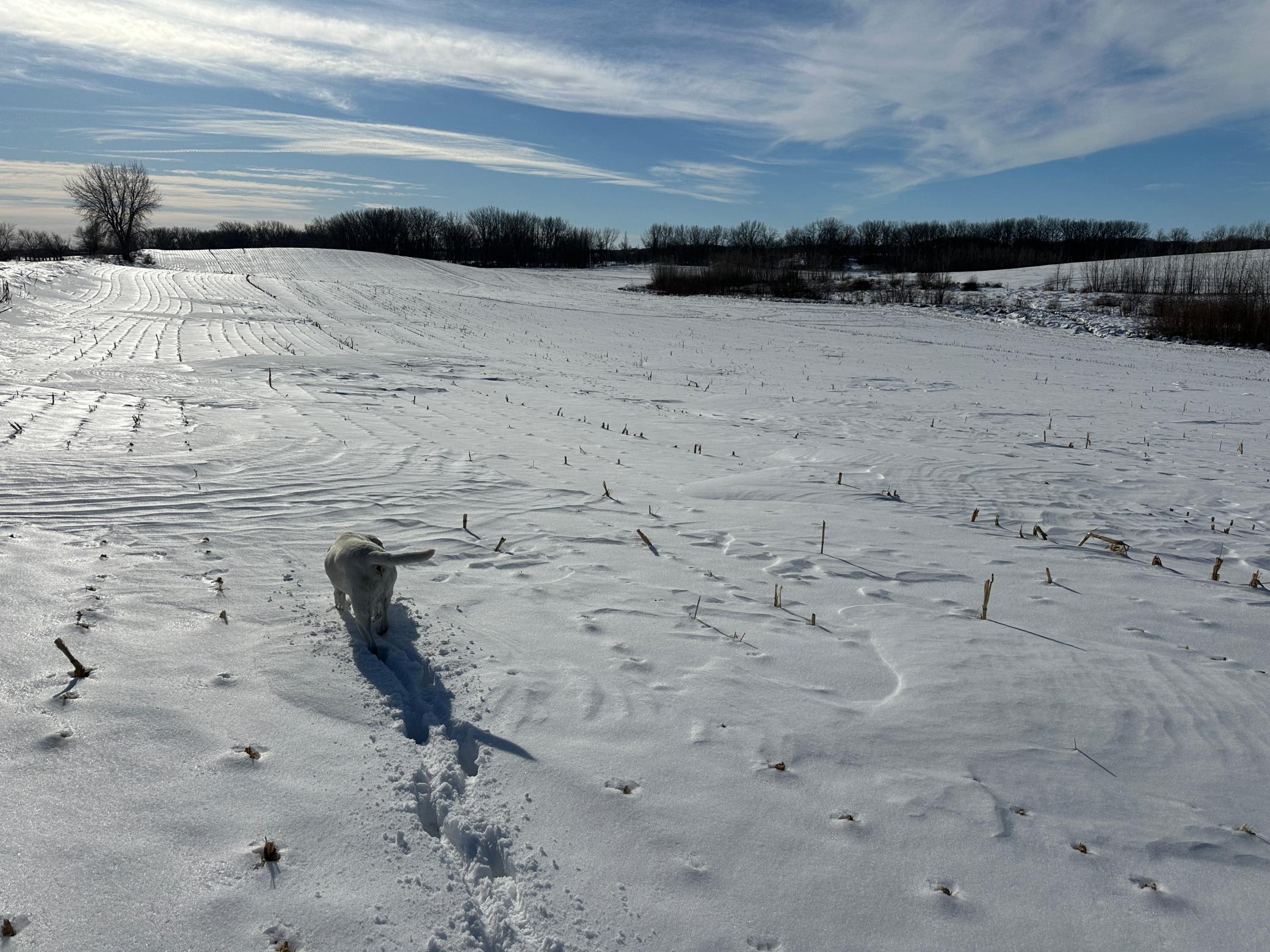 land for sale at TBD Co Hwy 10 in Fergus Falls, MN (photo 11 of 14)