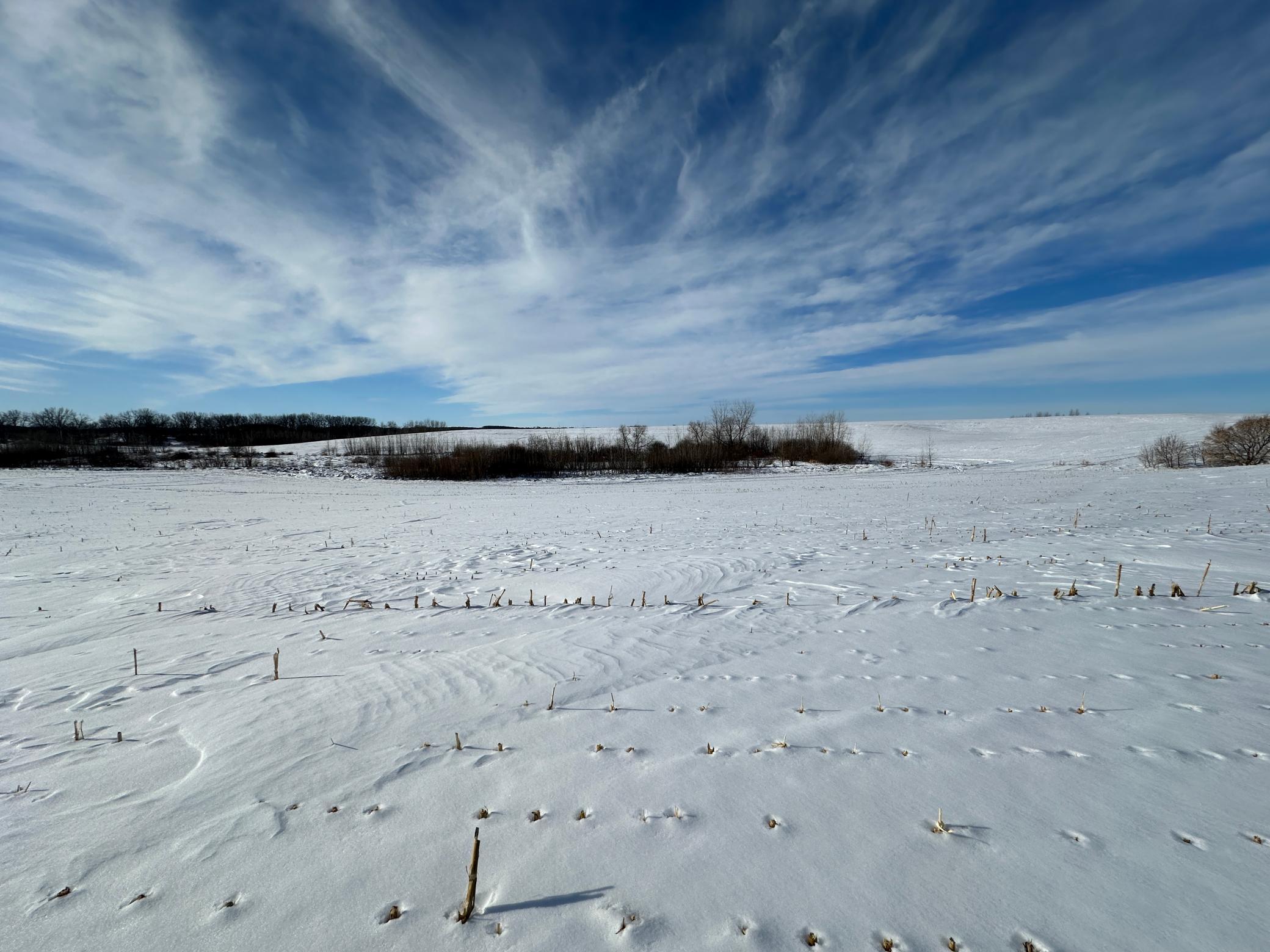 land for sale at TBD Co Hwy 10 in Fergus Falls, MN (photo 5 of 14)