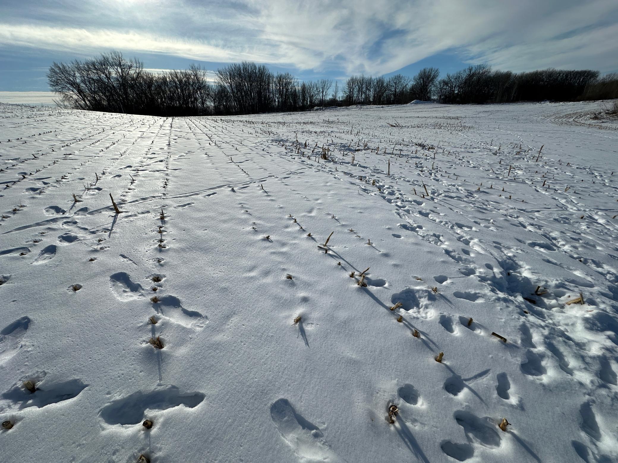 land for sale at TBD Co Hwy 10 in Fergus Falls, MN (photo 6 of 14)