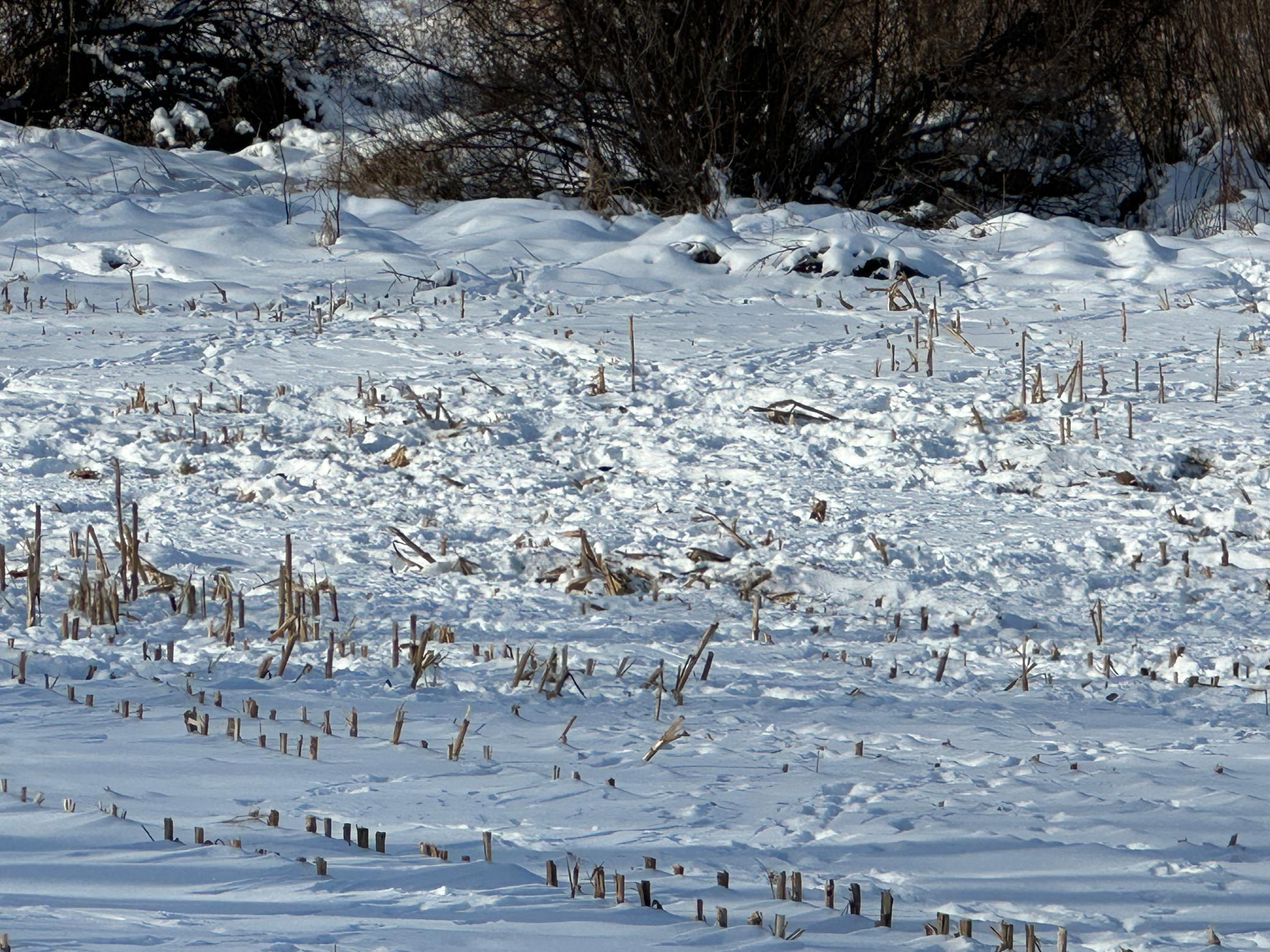 land for sale at TBD Co Hwy 10 in Fergus Falls, MN (photo 10 of 14)