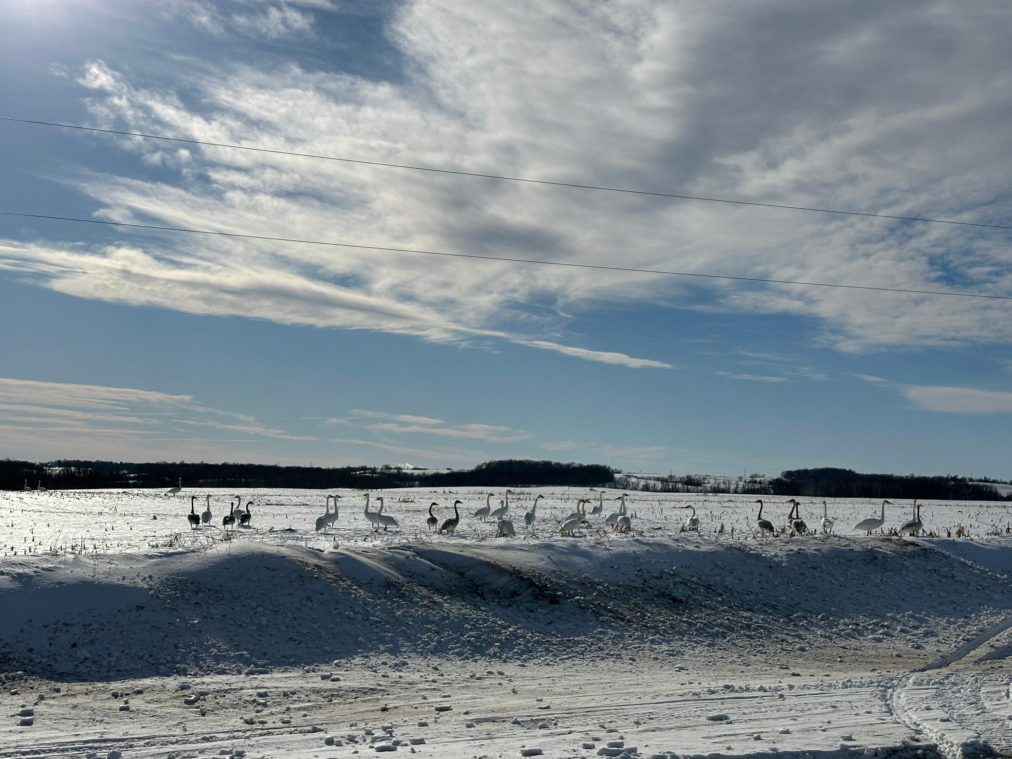 land for sale at TBD County Hwy 10 in Fergus Falls, MN (photo 9 of 13)