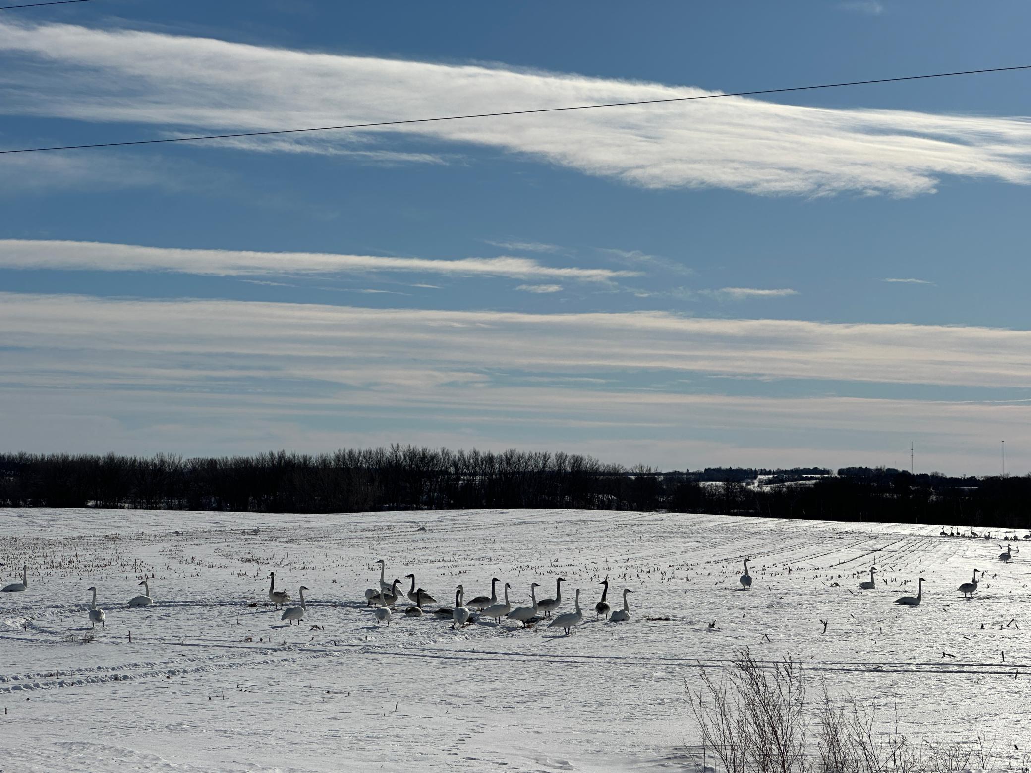 land for sale at TBD County Hwy 10 in Fergus Falls, MN (photo 10 of 13)