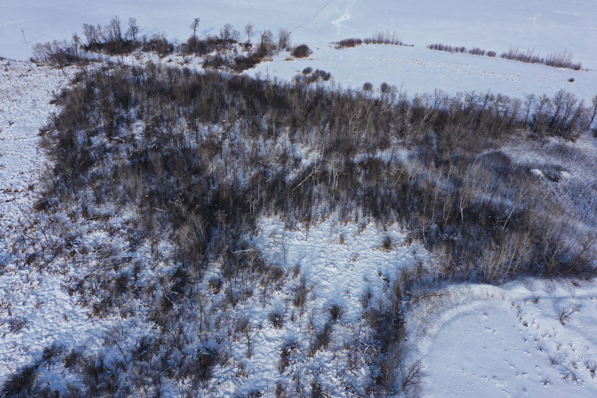 land for sale at TBD County Highway 10 in Fergus Falls, MN (photo 16 of 34)