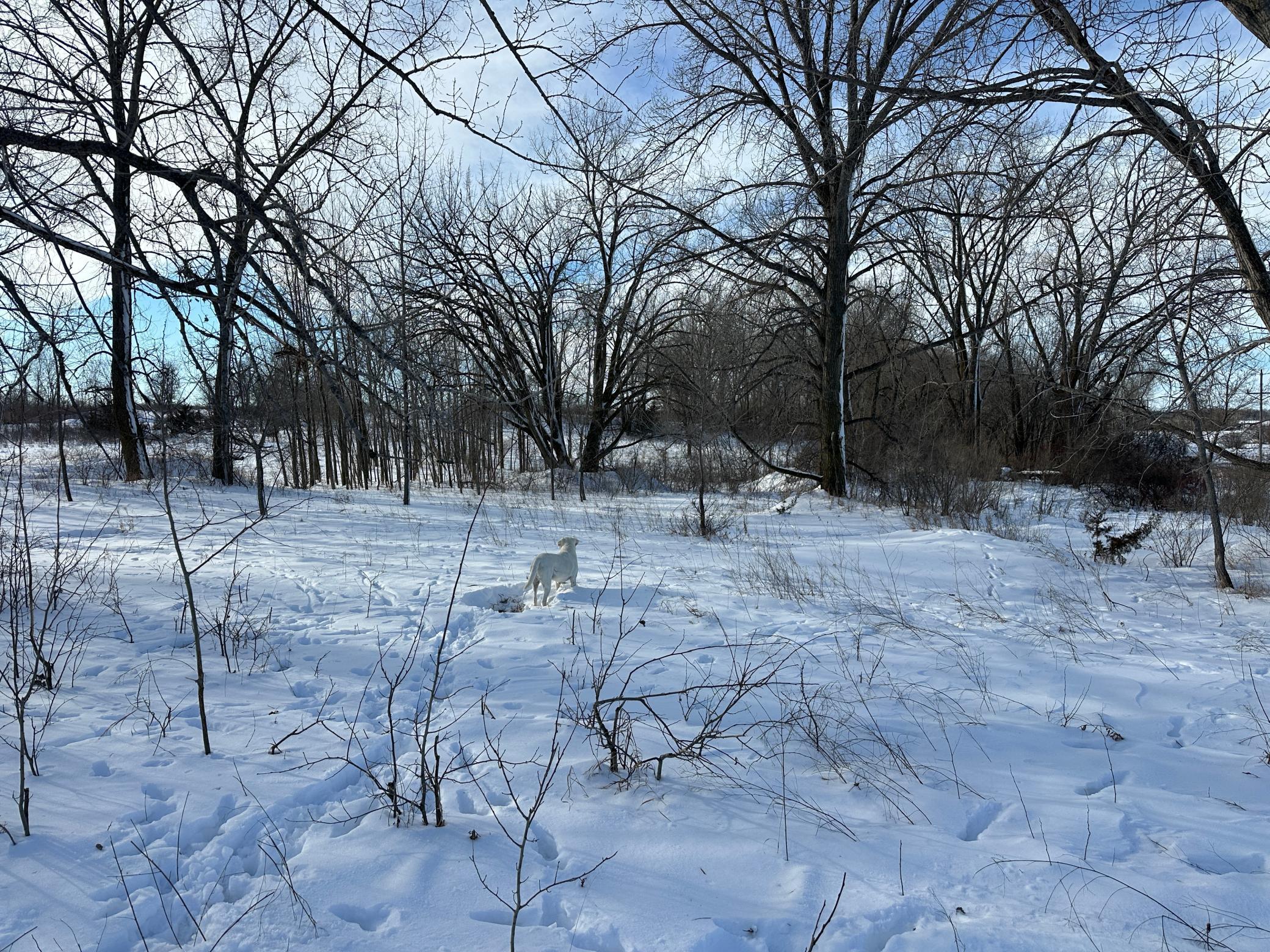 land for sale at TBD County Highway 10 in Fergus Falls, MN (photo 17 of 34)
