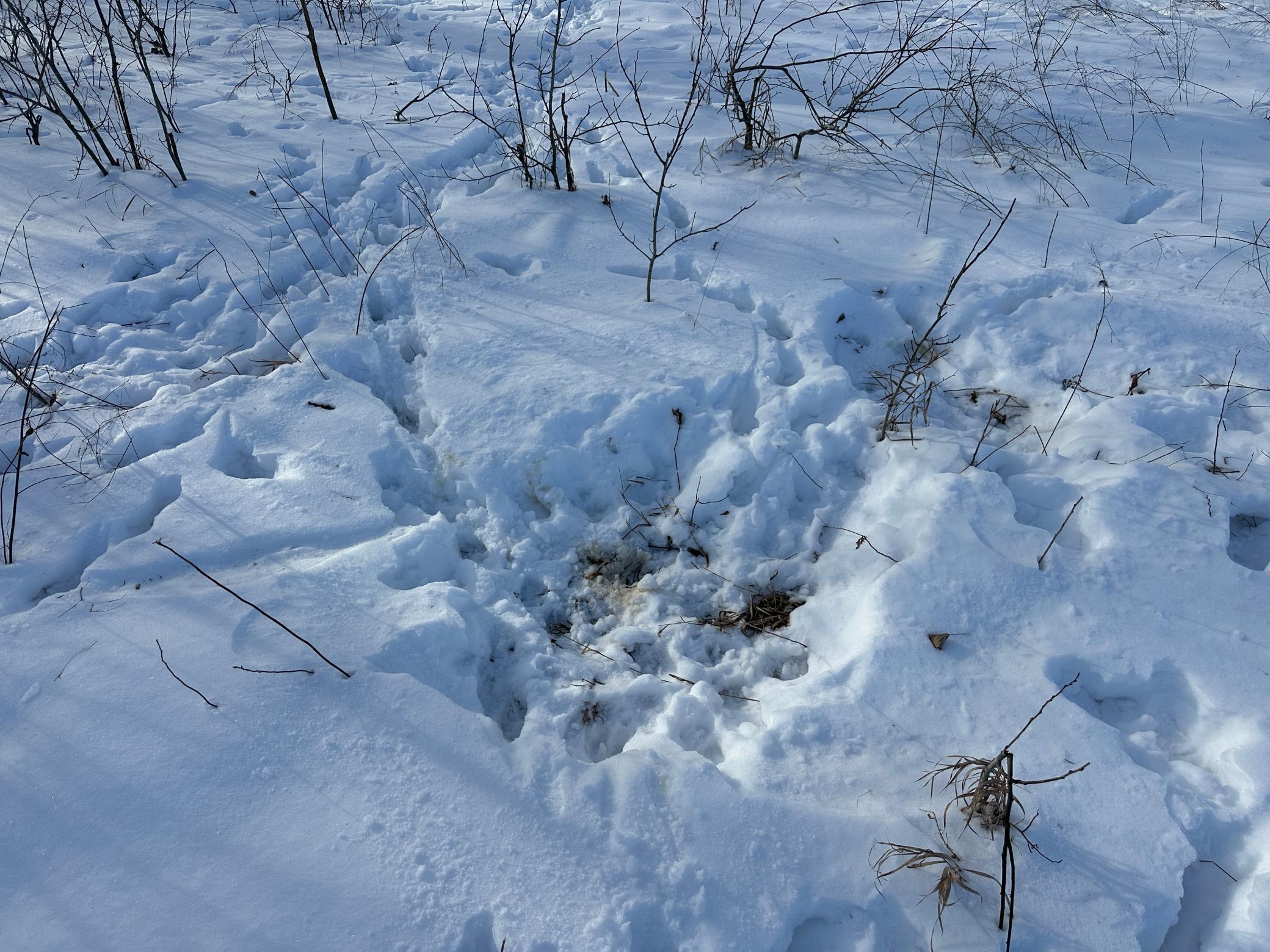 land for sale at TBD County Highway 10 in Fergus Falls, MN (photo 18 of 34)