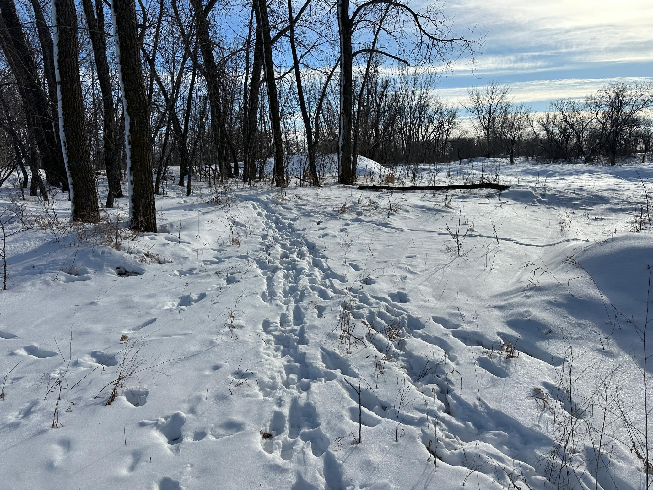 land for sale at TBD County Highway 10 in Fergus Falls, MN (photo 19 of 34)