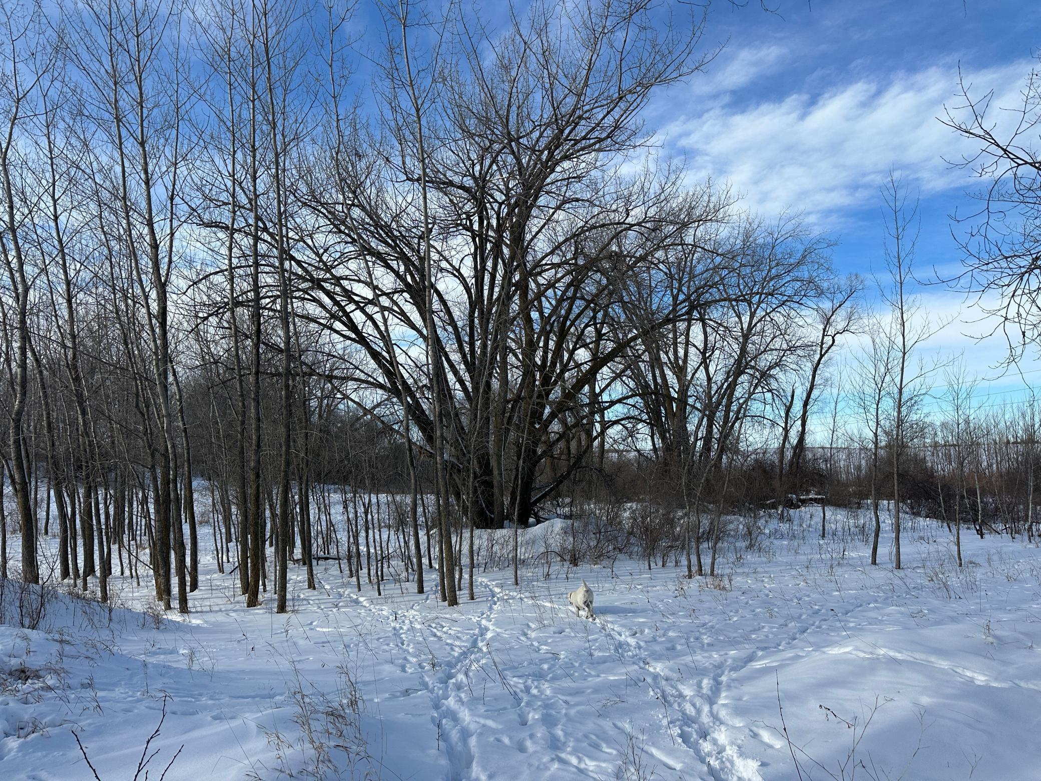 land for sale at TBD County Highway 10 in Fergus Falls, MN (photo 20 of 34)