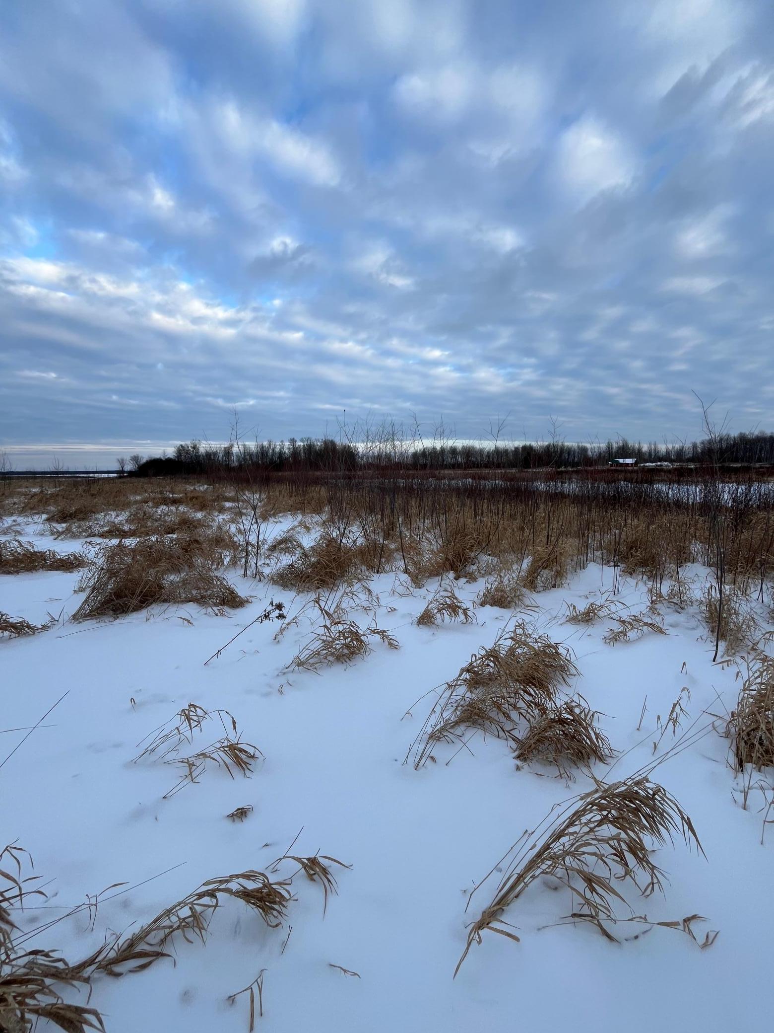 land for sale at TBD Parcel 2 E Pine Drive in Angle Inlet, MN (photo 6 of 8)