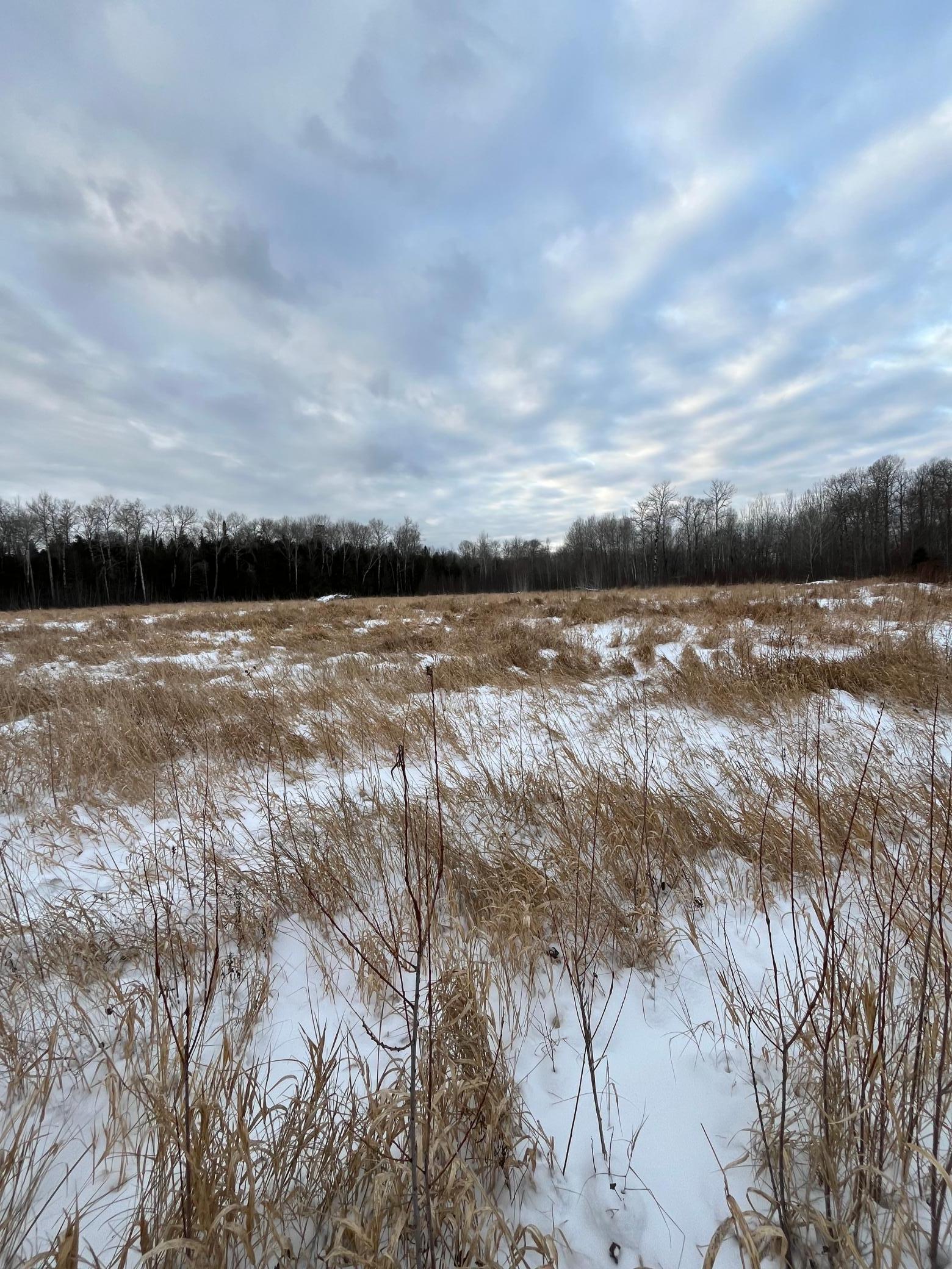 land for sale at TBD Parcel 2 E Pine Drive in Angle Inlet, MN (photo 7 of 8)